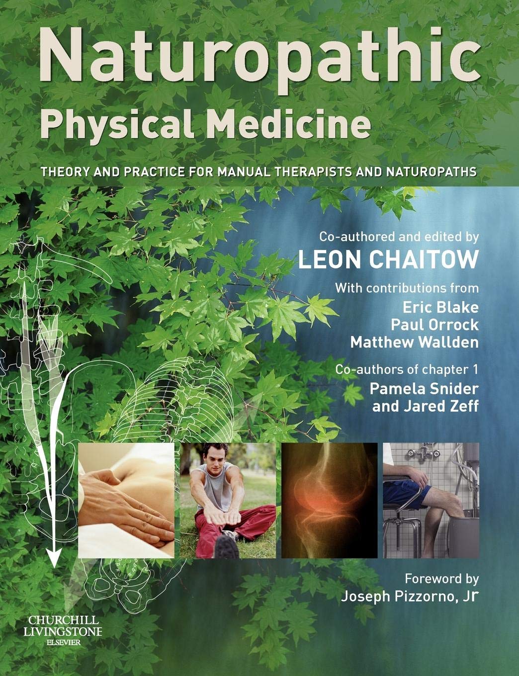 Naturopathic Physical Medicine: Theory And Practice For Manual Therapists And Naturopaths Medicine