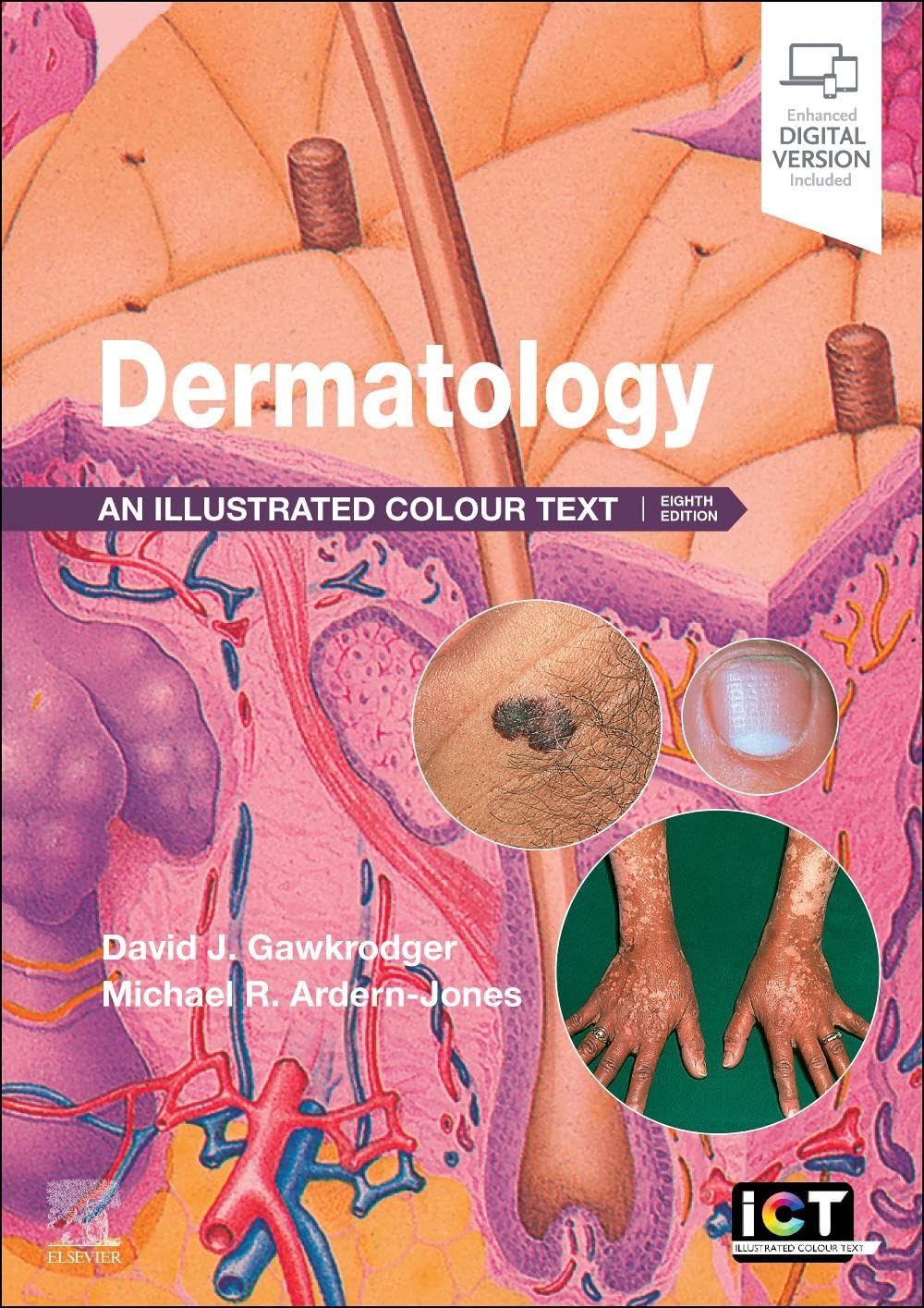 Dermatology Medicine