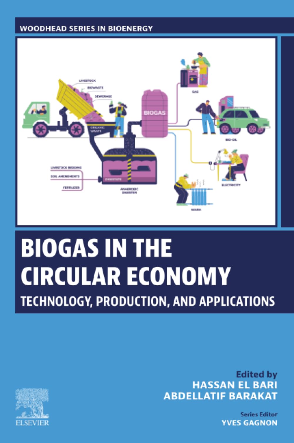 Biogas in the Circular Economy: Technology, Production, and Applications (Woodhead Series in Bioenergy) Natural Sciences