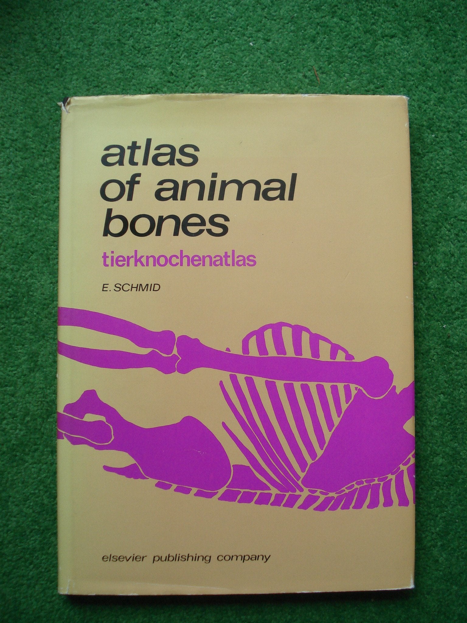 Atlas of Animal Bones: For Prehistorians, Archaeologists and Quaternary Geologists Social Sciences