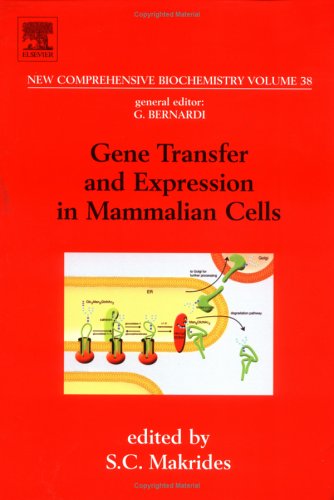 Gene Transfer and Expression in Mammalian Cells (Volume 38) (New Comprehensive Biochemistry, Volume 38) Natural Sciences