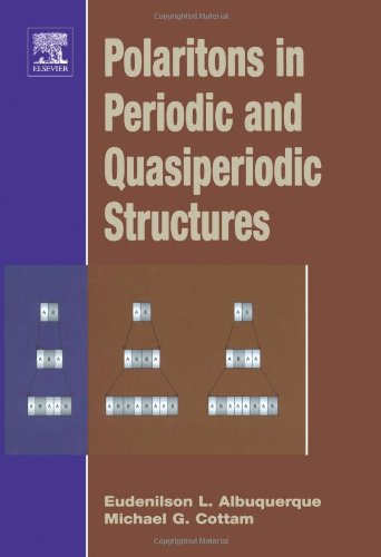 Polaritons in Periodic and Quasiperiodic Structures Business & Technology