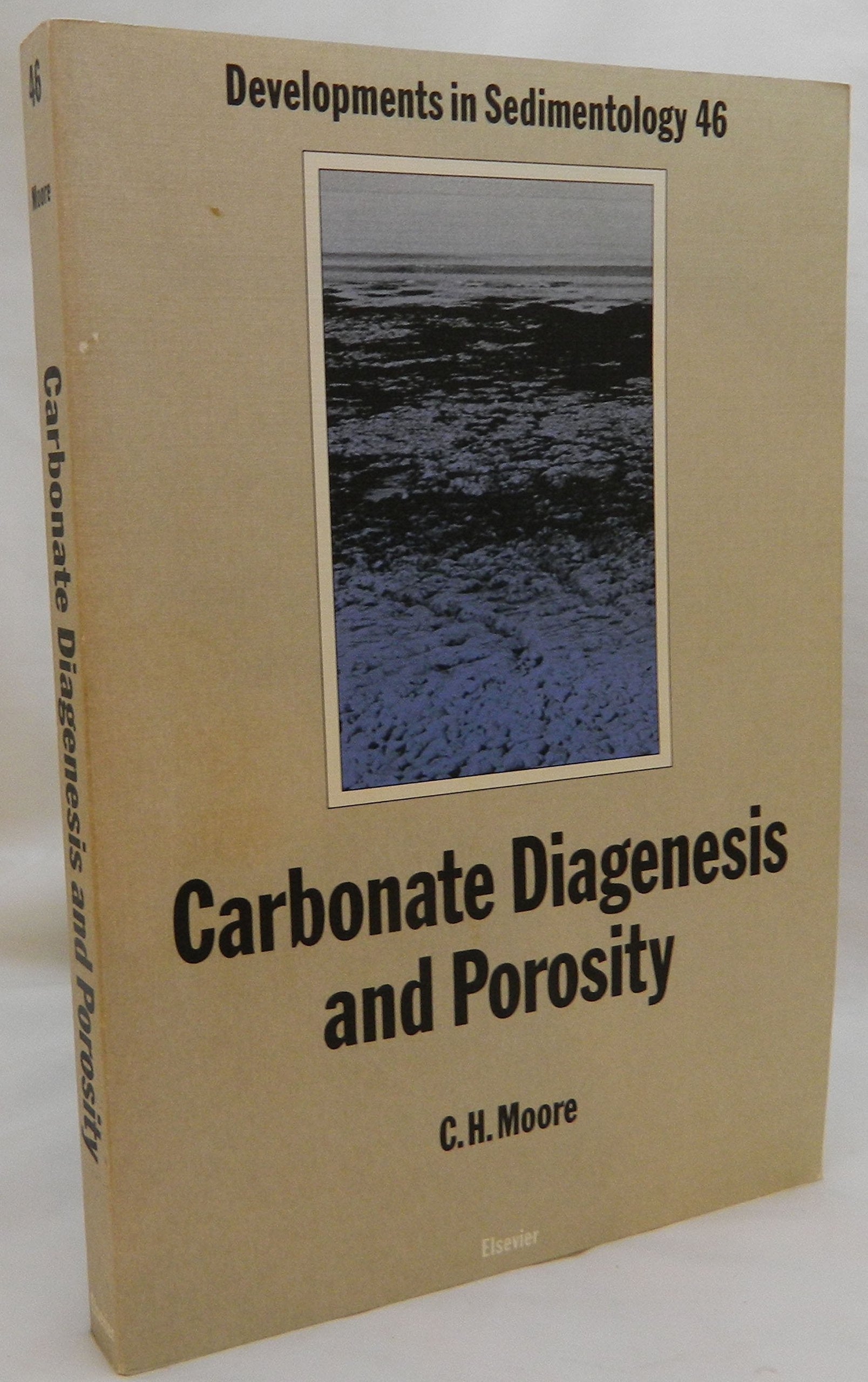 Carbonate Diagenesis and Porosity (Volume 46) (Developments in Sedimentology, Volume 46) Business & Technology