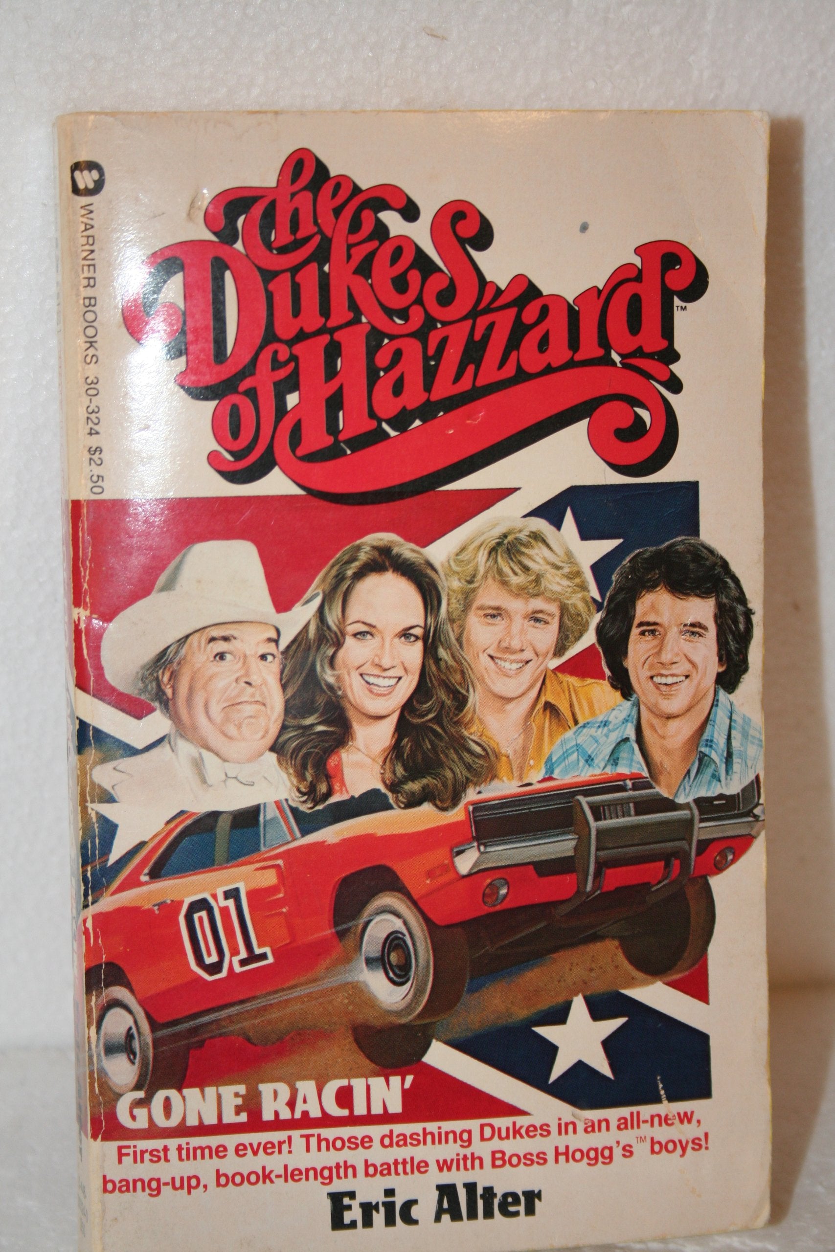 The Dukes of Hazzard: Gone Racin' Contemporary literature