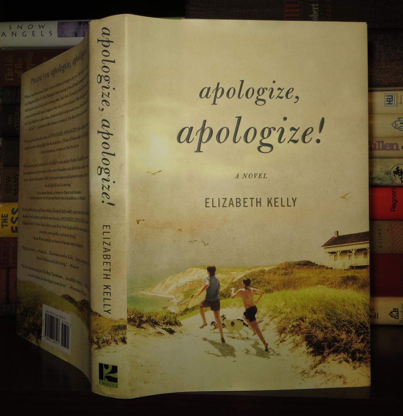 Apologize, Apologize! Humour & Satire