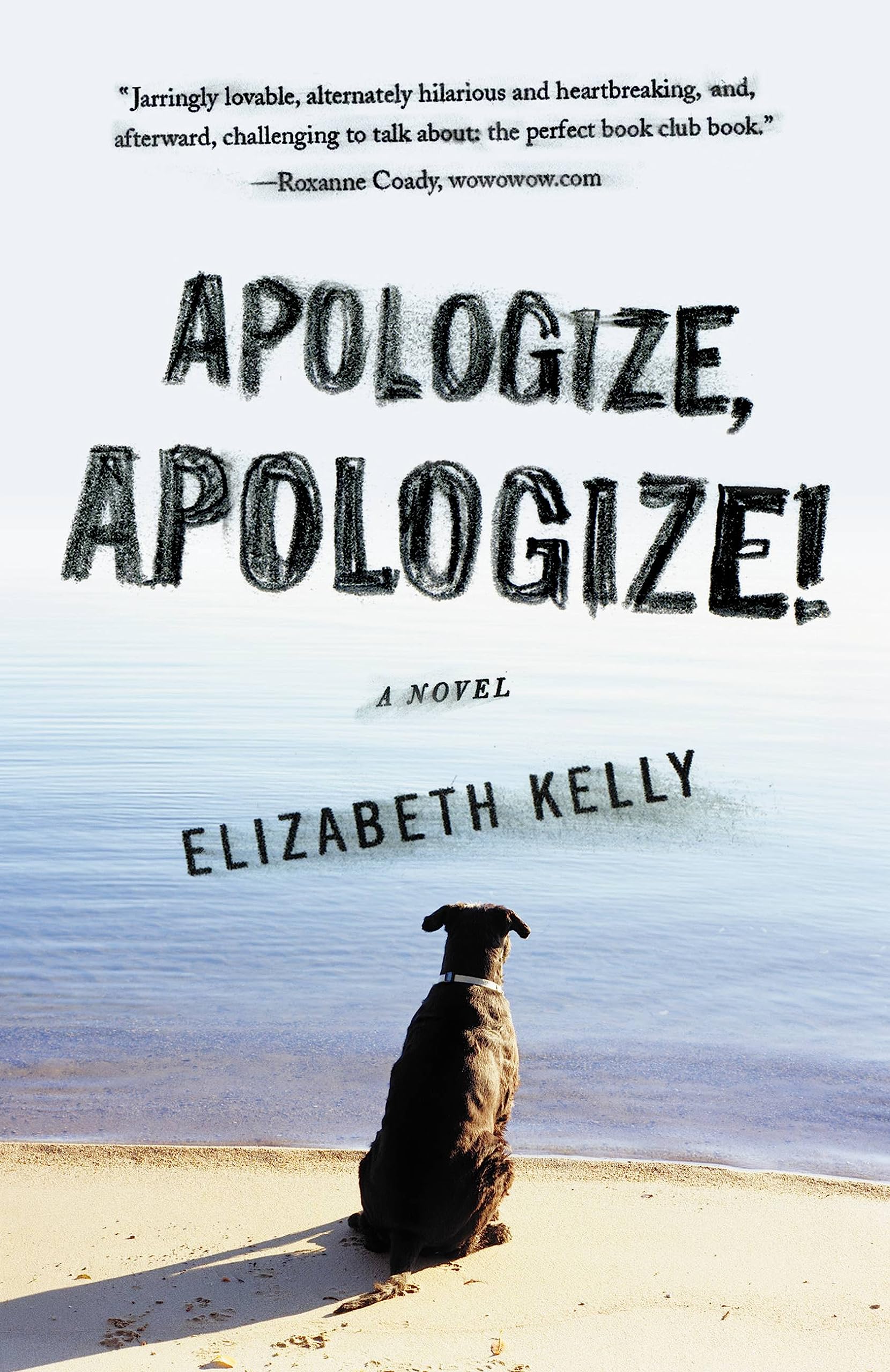 Apologize, Apologize! Humour & Satire