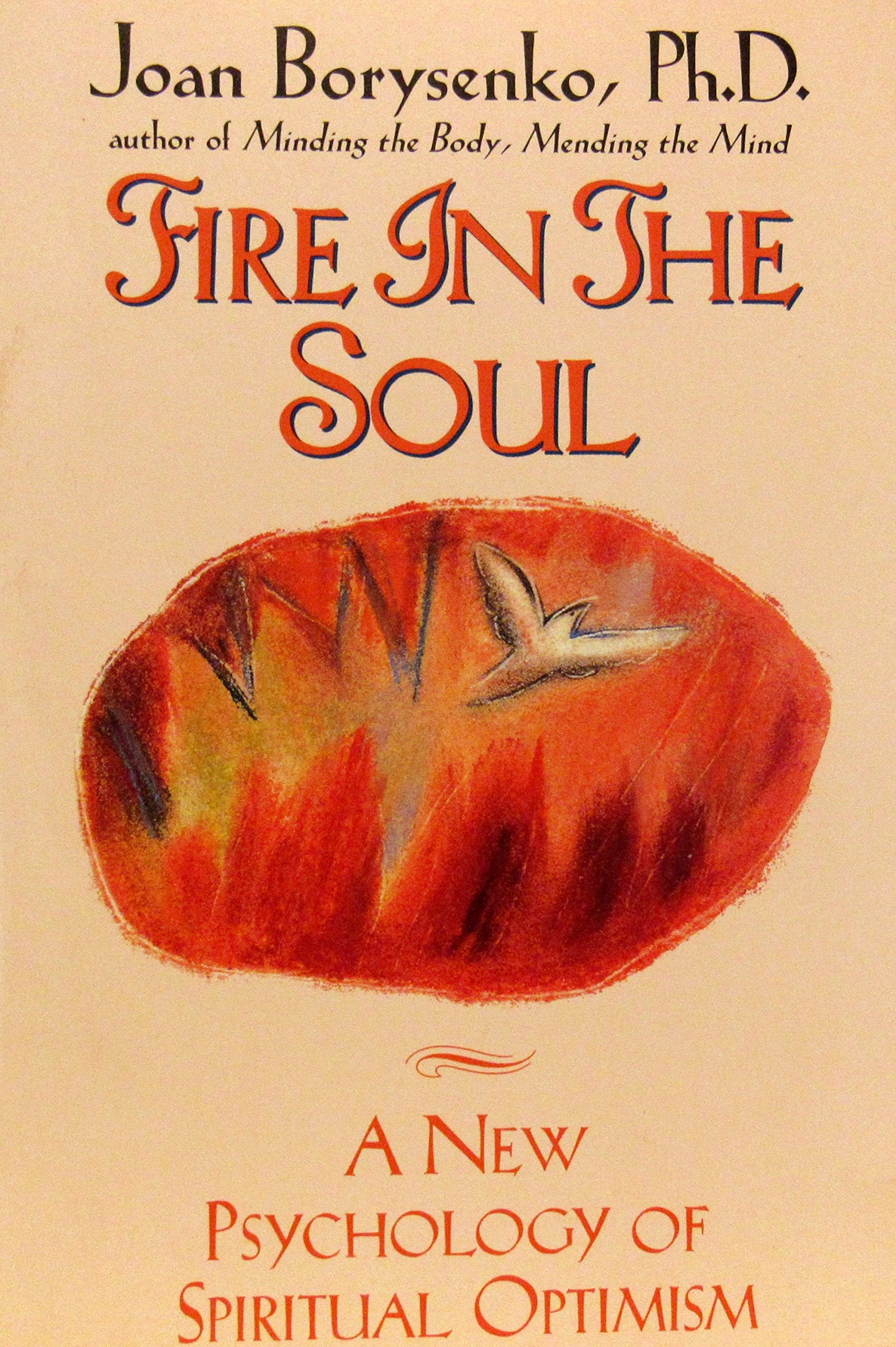 Fire in the Soul: A New Psychology of Spiritual Optimism Psychology