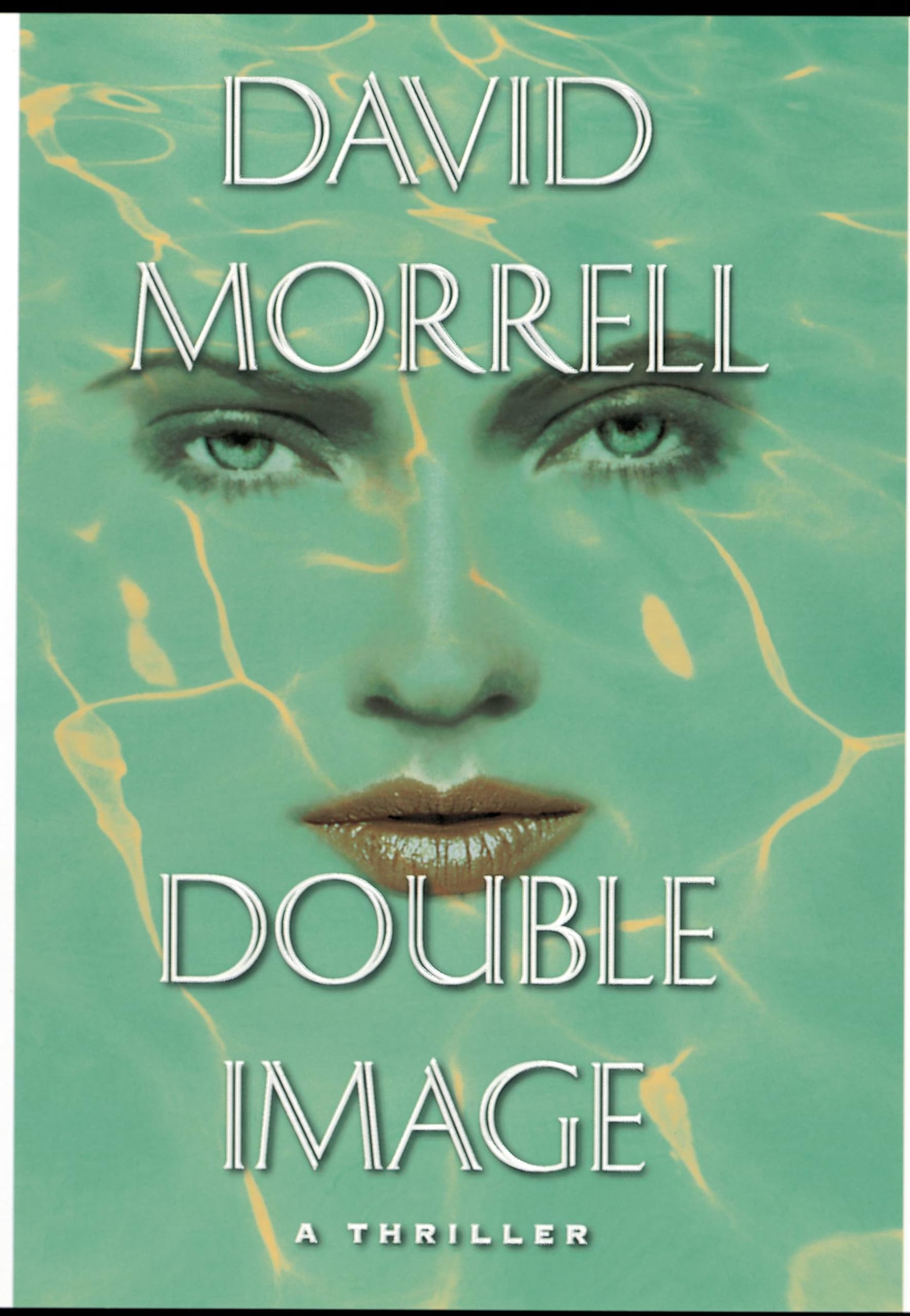Double Image Contemporary literature