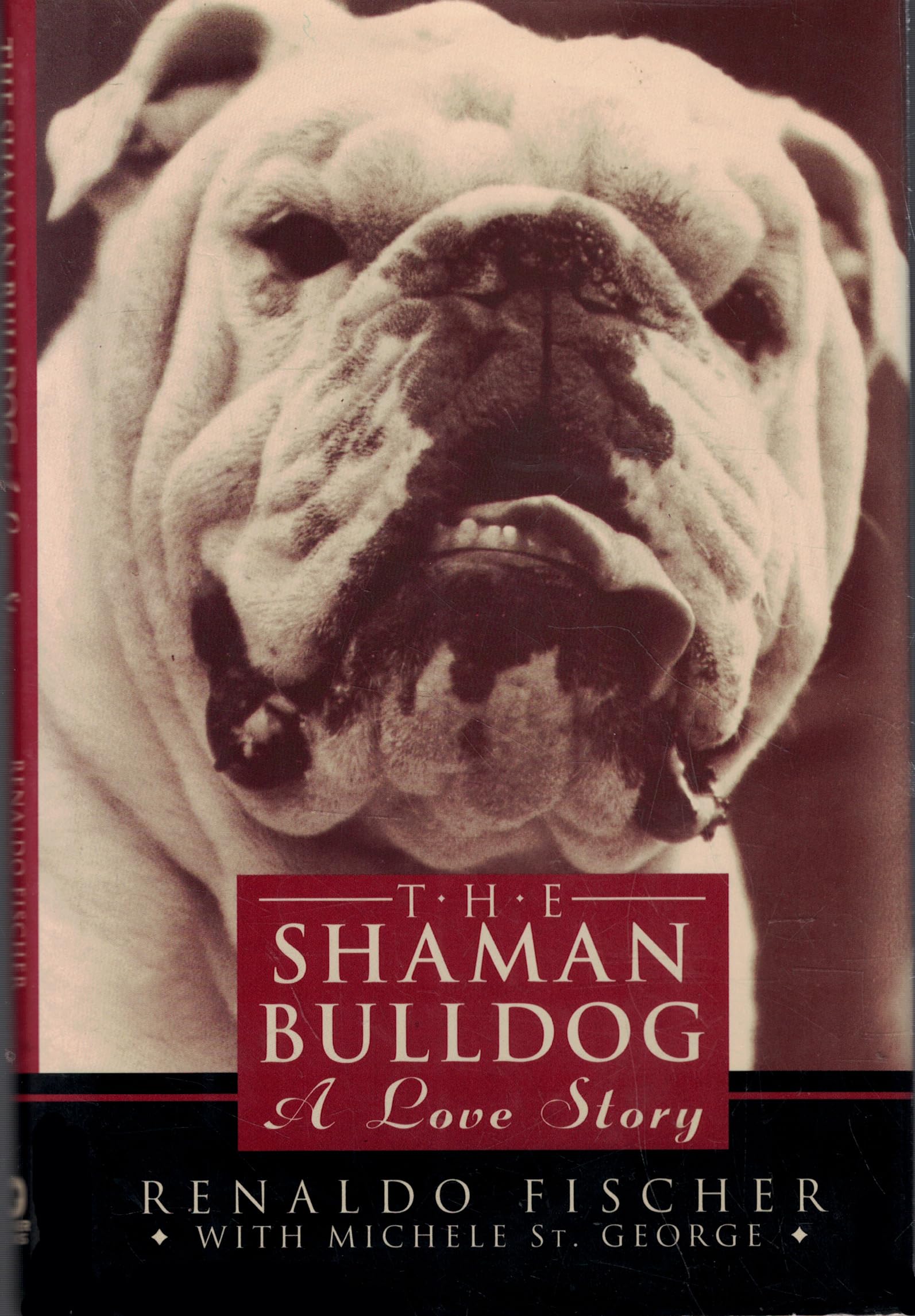 The Shaman Bulldog: A Love Story Contemporary literature