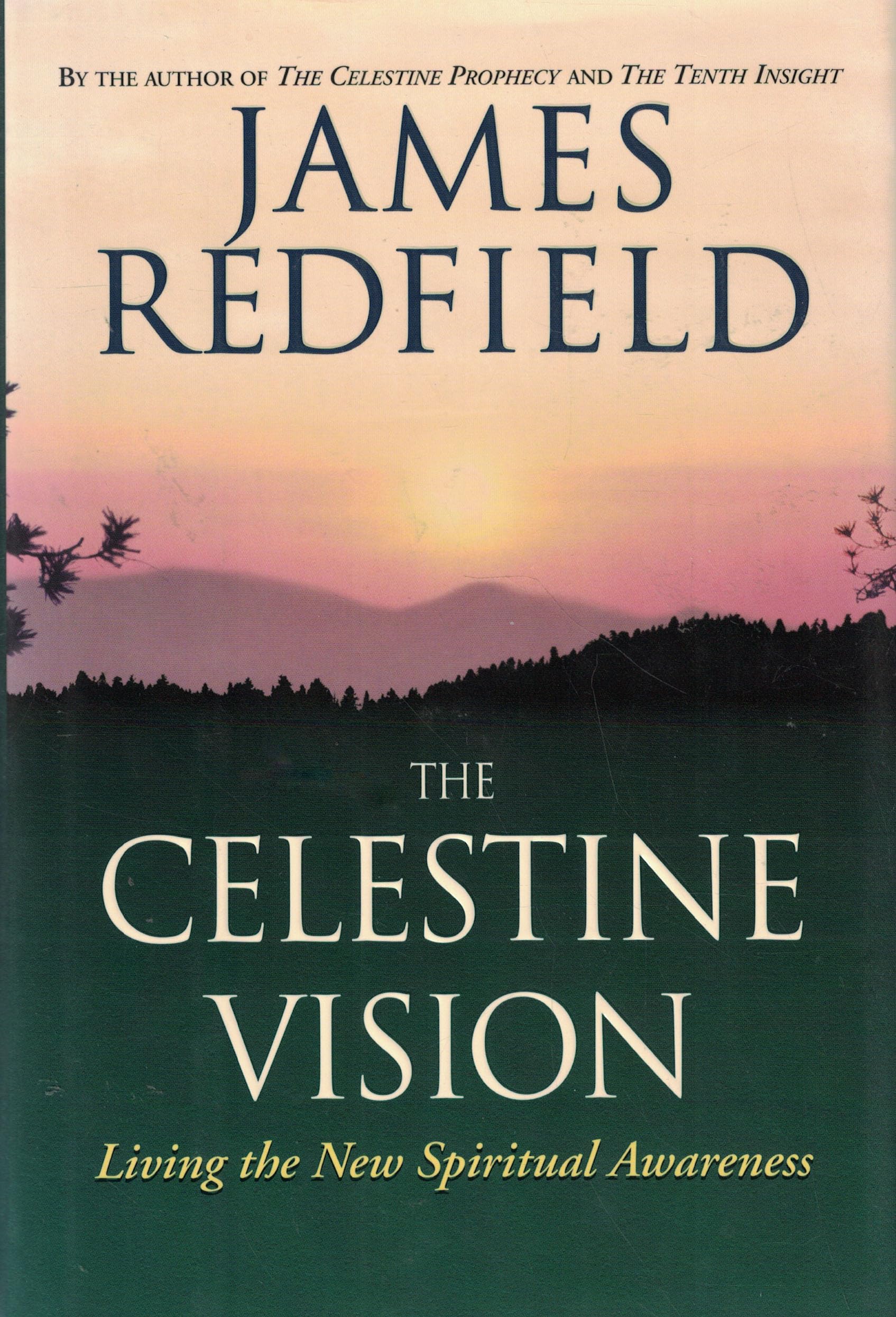 The Celestine Vision: Living the New Spiritual Awareness Politics & History