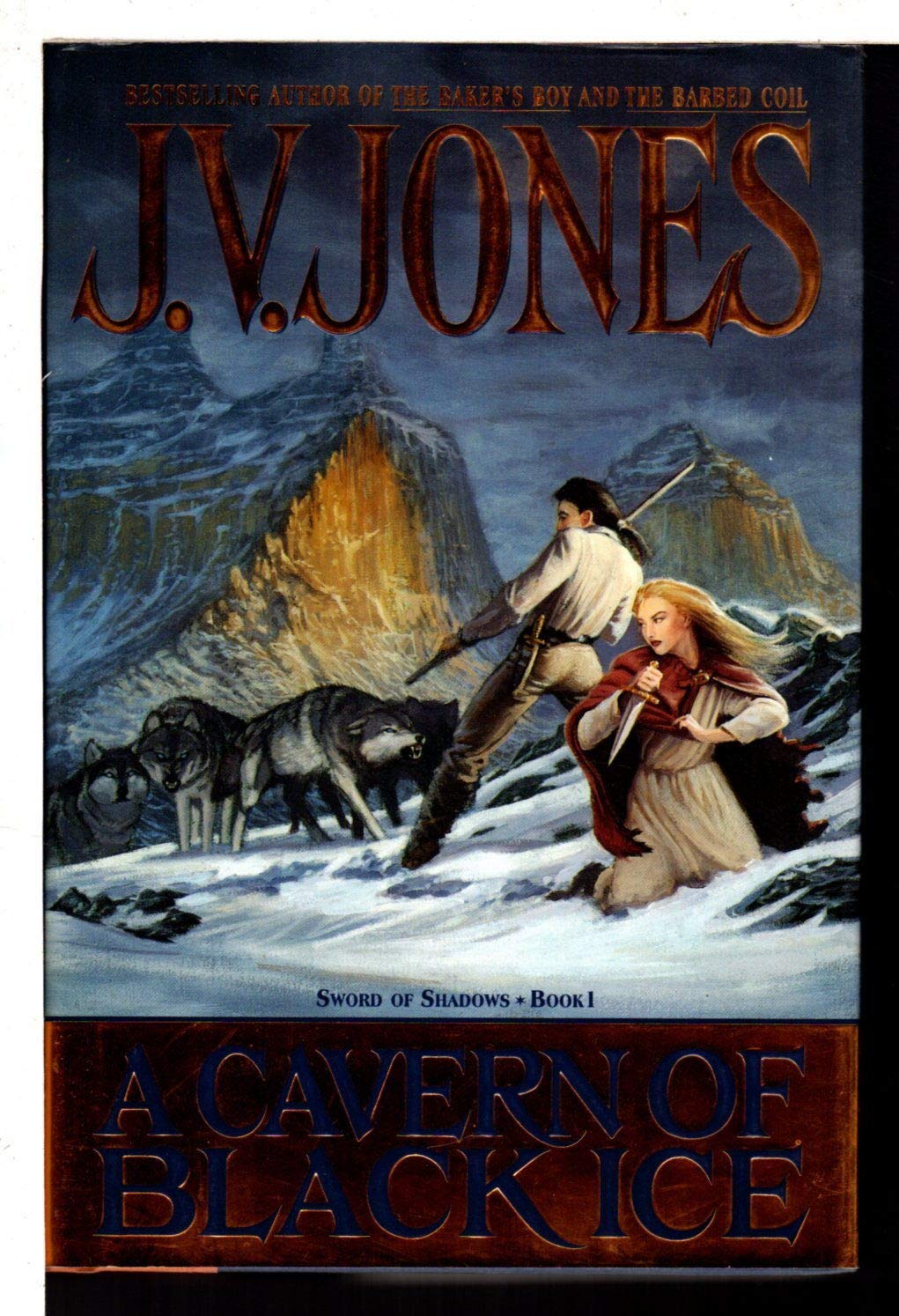 A Cavern of Black Ice (Sword of Shadows, Band 1) Contemporary literature