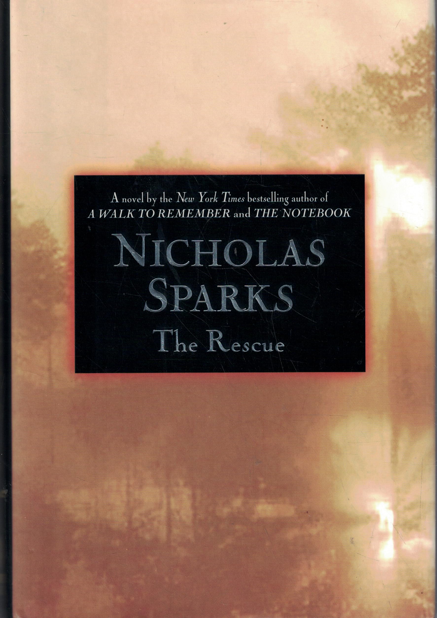 The Rescue Contemporary literature Books