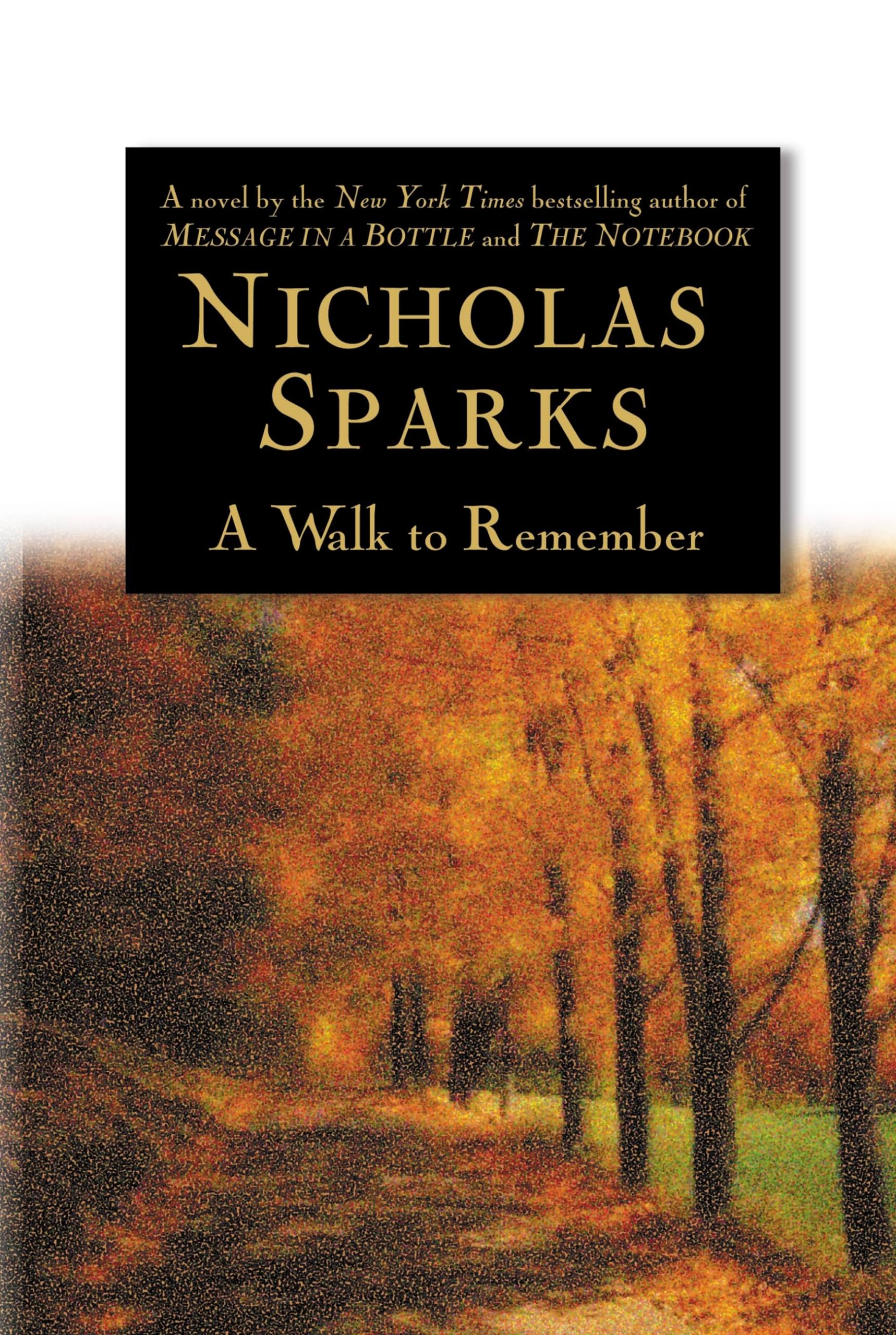 A Walk to Remember Contemporary literature Books