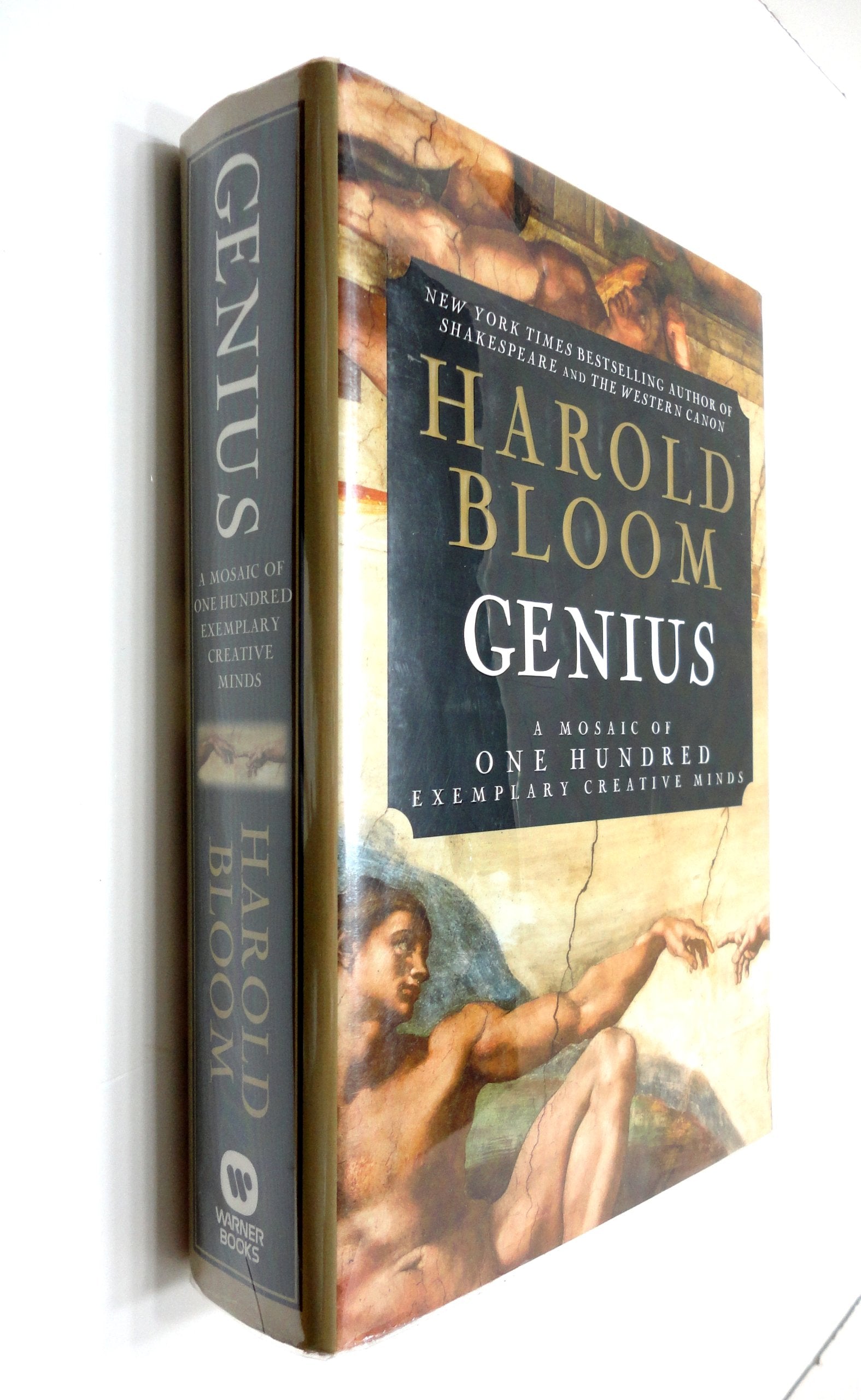 Genius: A Mosaic of One Hundred Exemplary Creative Minds Contemporary literature