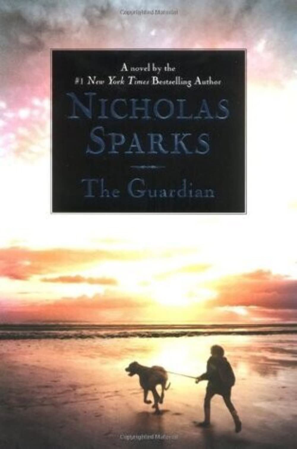 Product Image: The Guardian