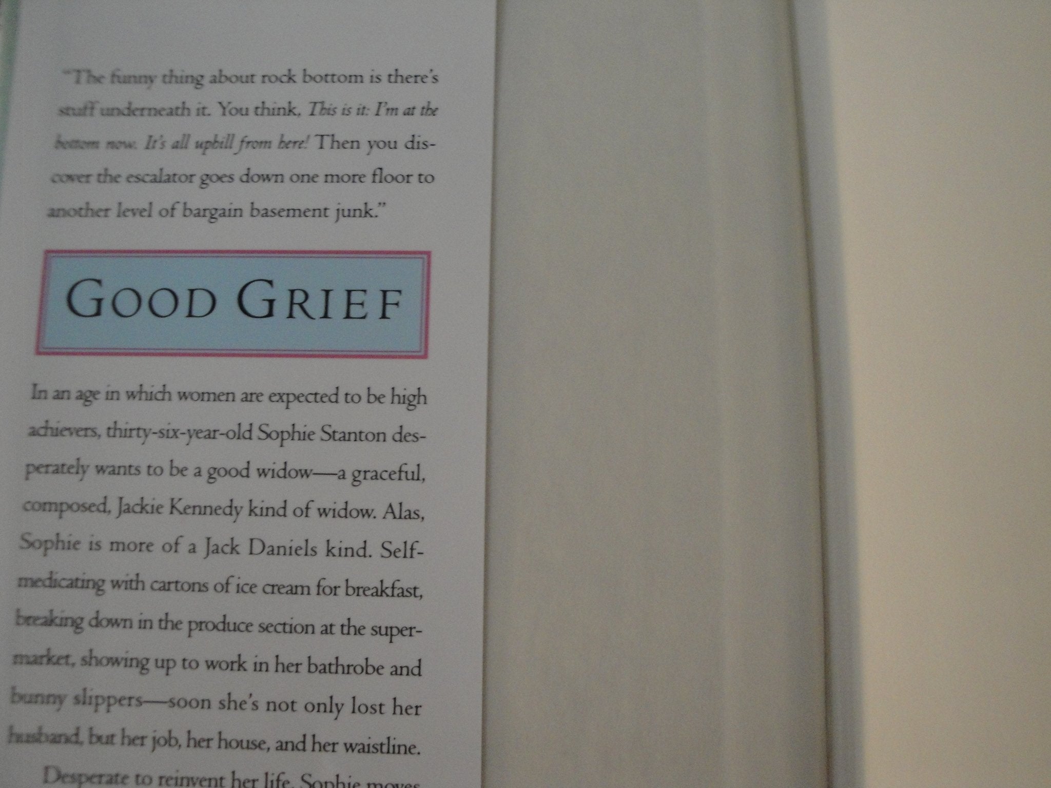 Product Image: Good Grief: A Novel