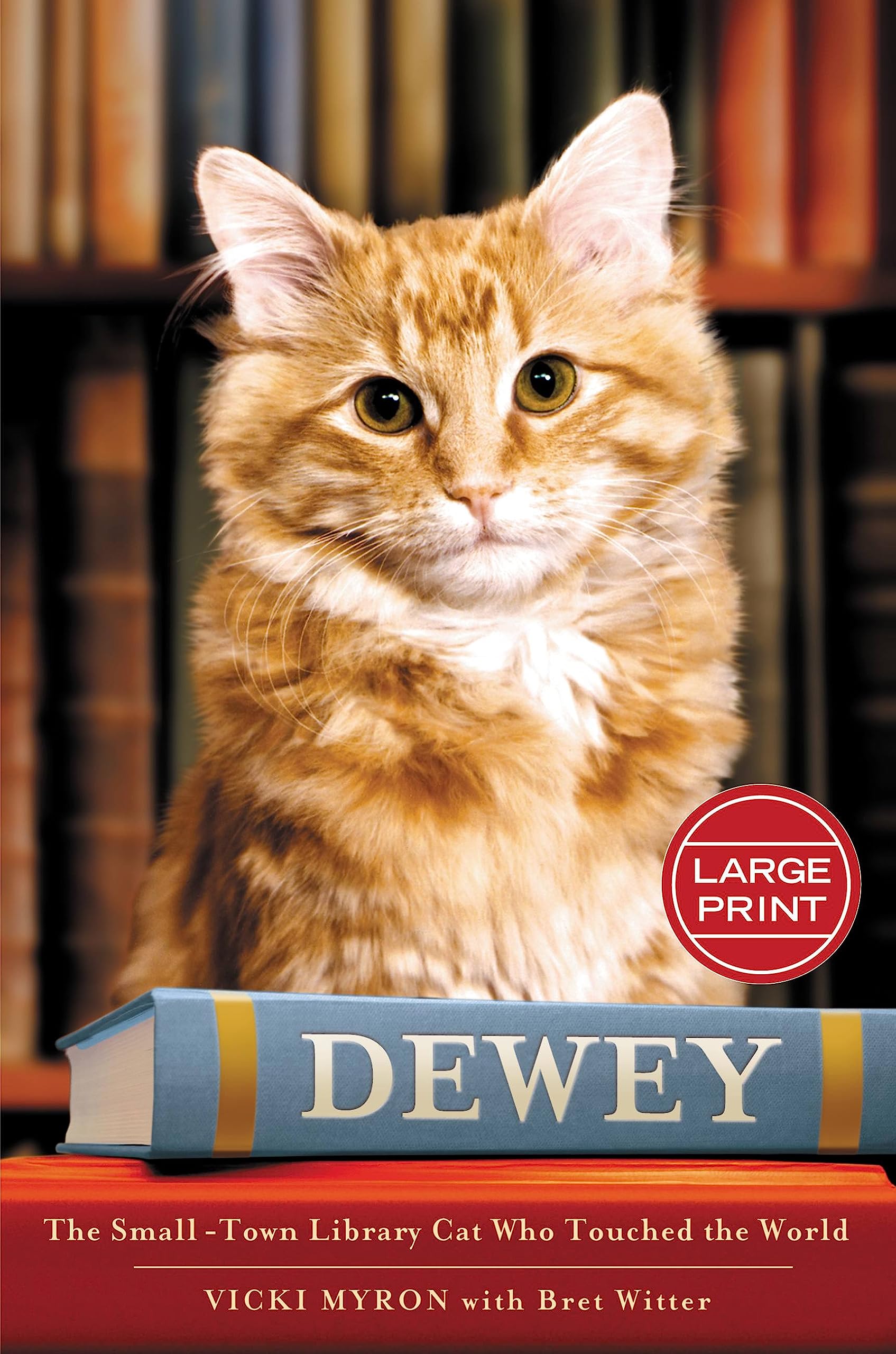 Dewey: The Small-Town Library Cat Who Touched the World Art & Literature