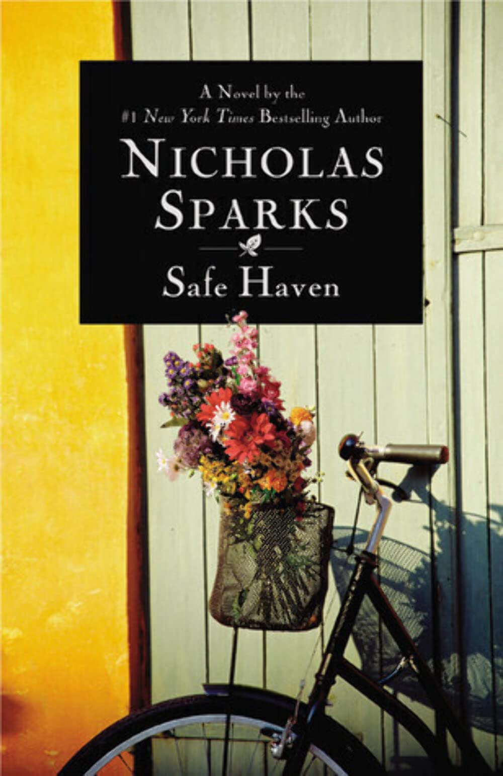 Safe Haven Contemporary literature