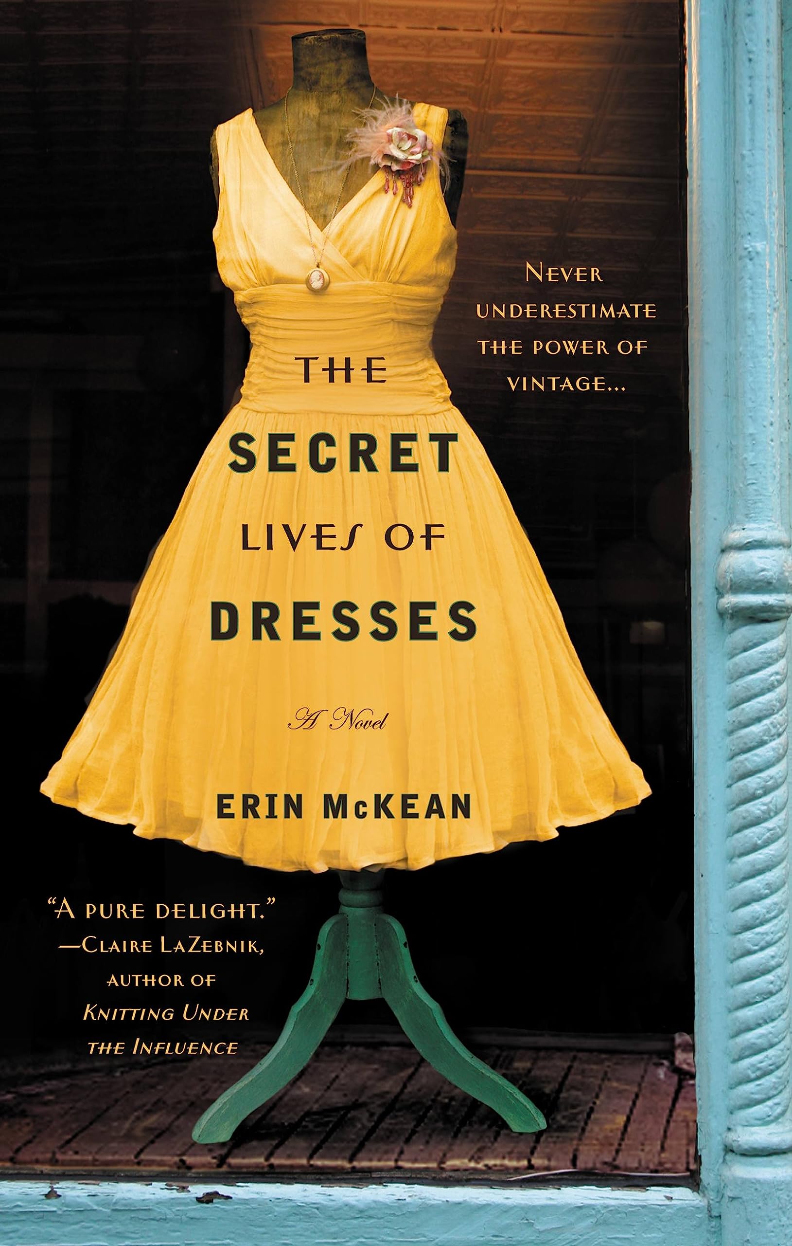 The Secret Lives of Dresses Contemporary literature