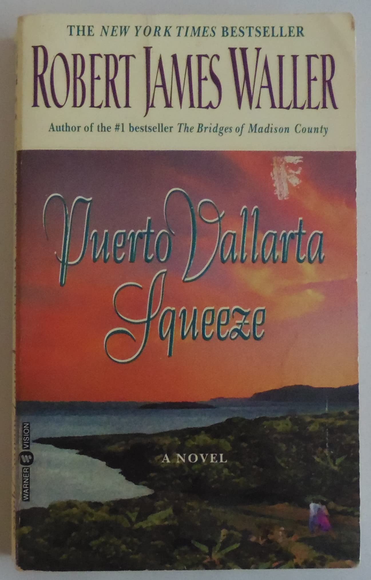 Puerto Vallarta Squeeze: A Novel Contemporary literature