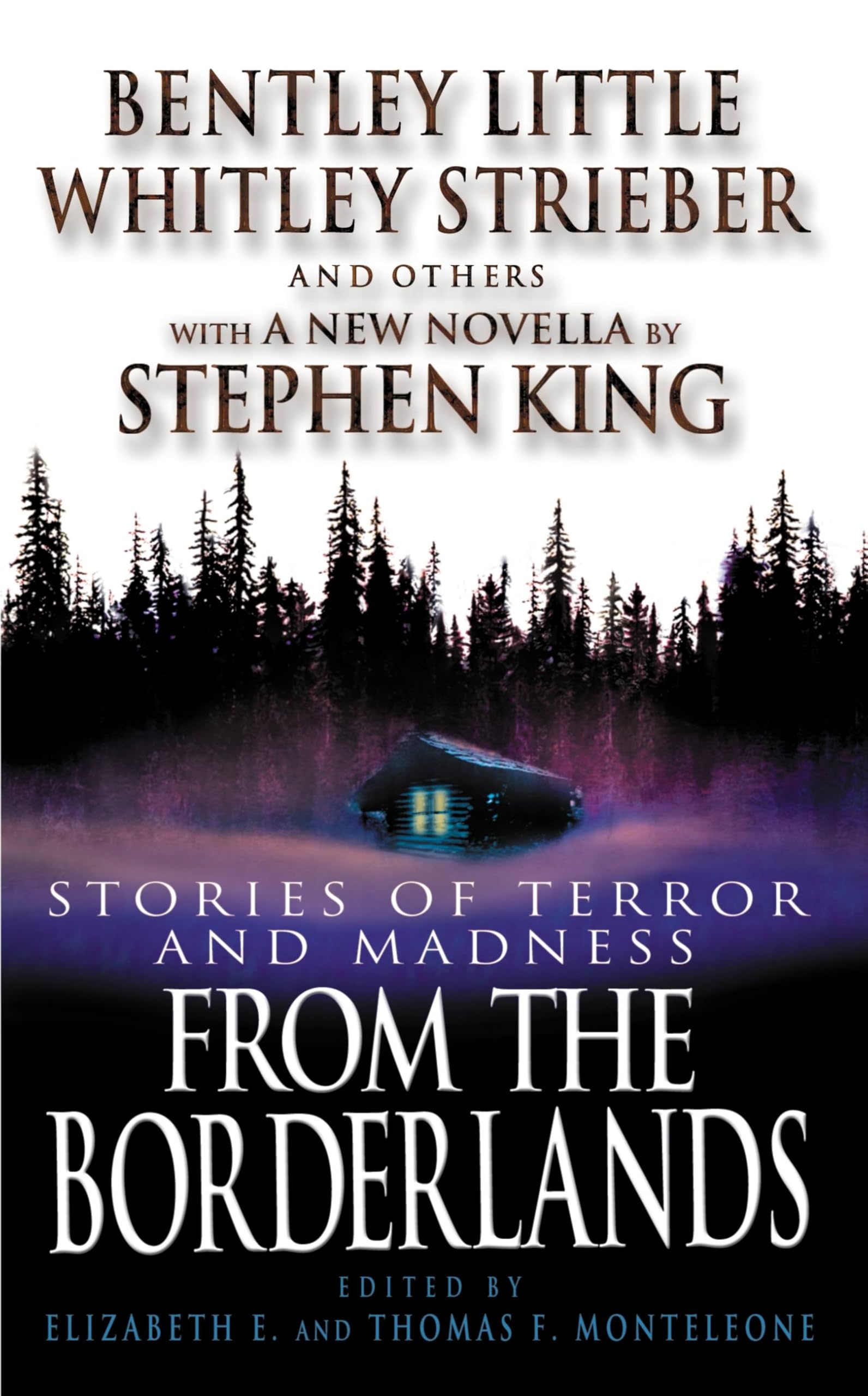 From the Borderlands: Stories of Terror and Madness Contemporary literature