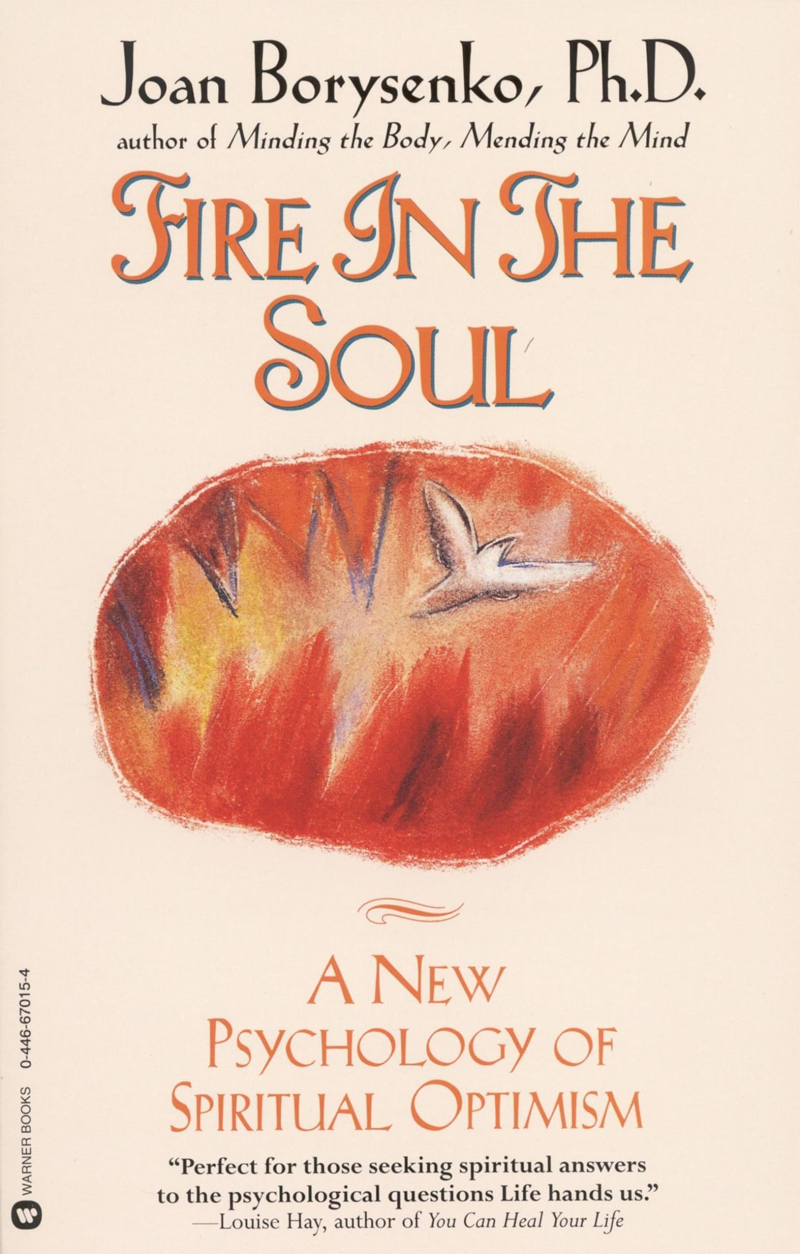 Product Image: Fire in the Soul
