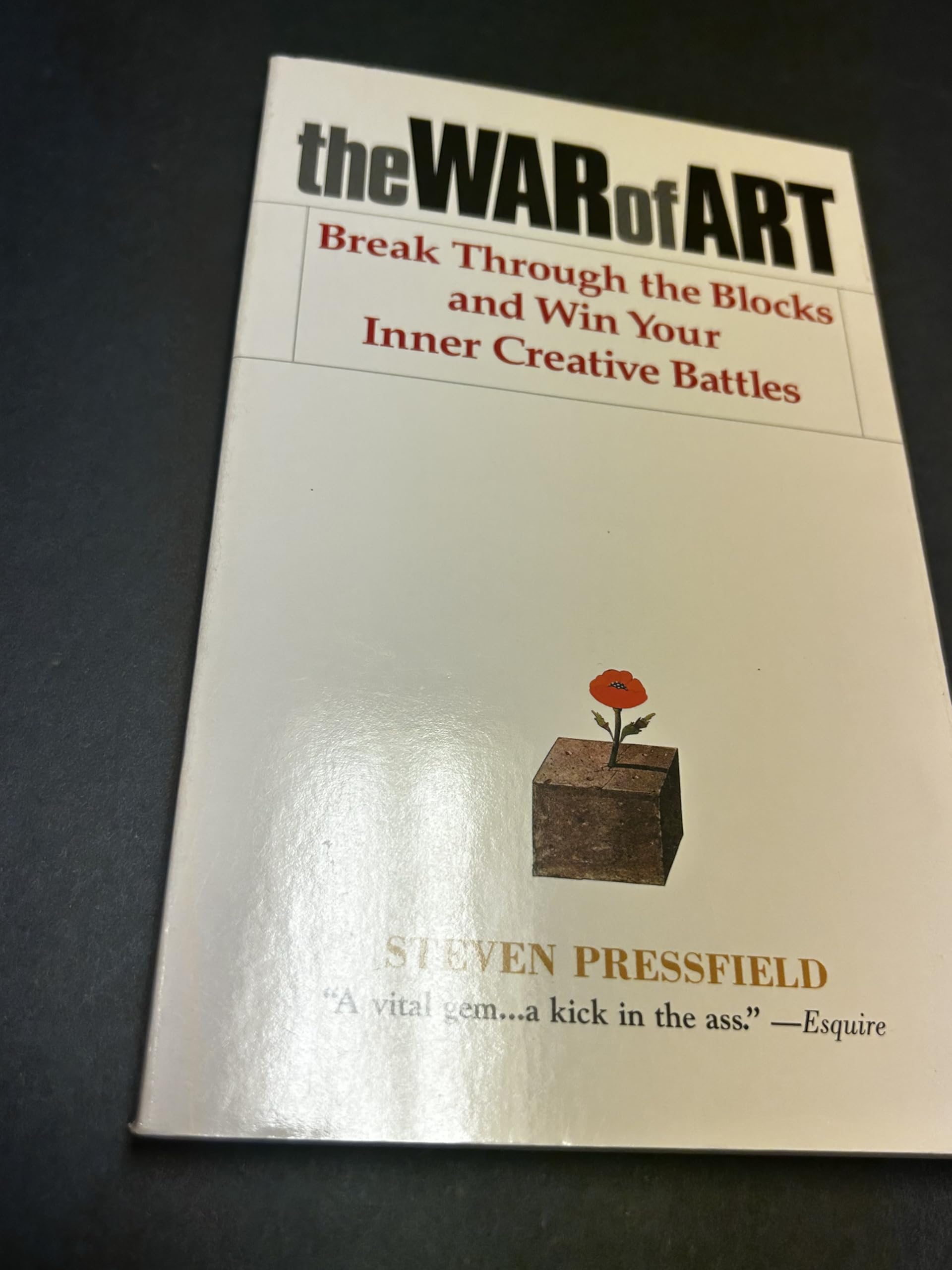 The War of Art: Break Through the Blocks and Win Your Inner Creative Battles Lifestyle