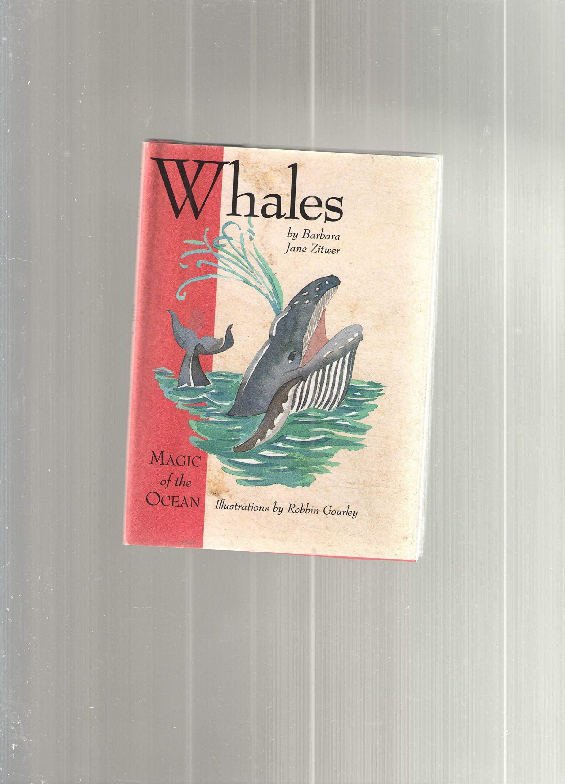 Whales (Magic of the Ocean) Business & Technology