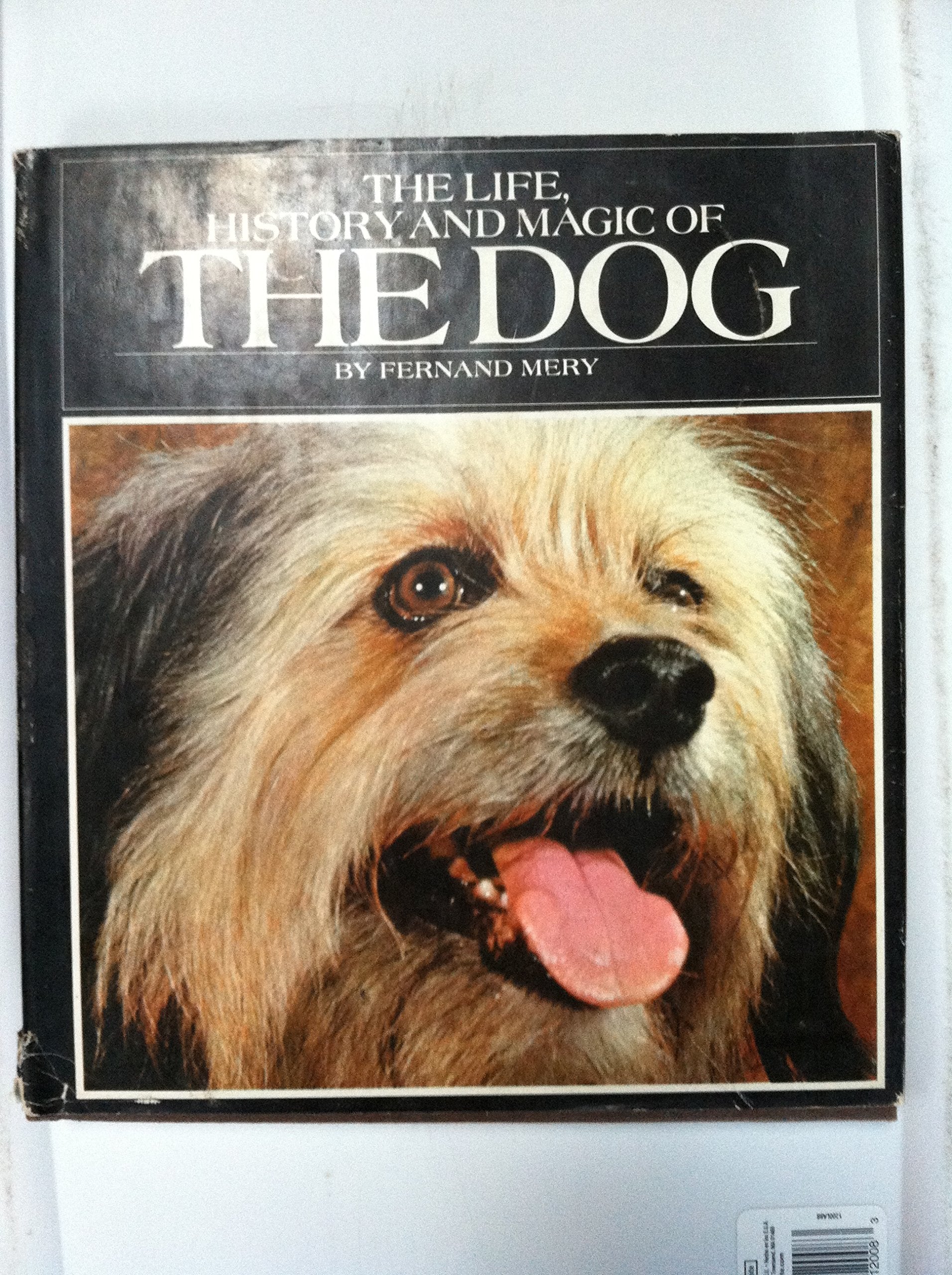 The Life, History, and Magic of the Dog Business & Technology