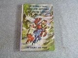 The Bobbsey Twins and the Mystery at Snow Lodge Novels & Short Stories