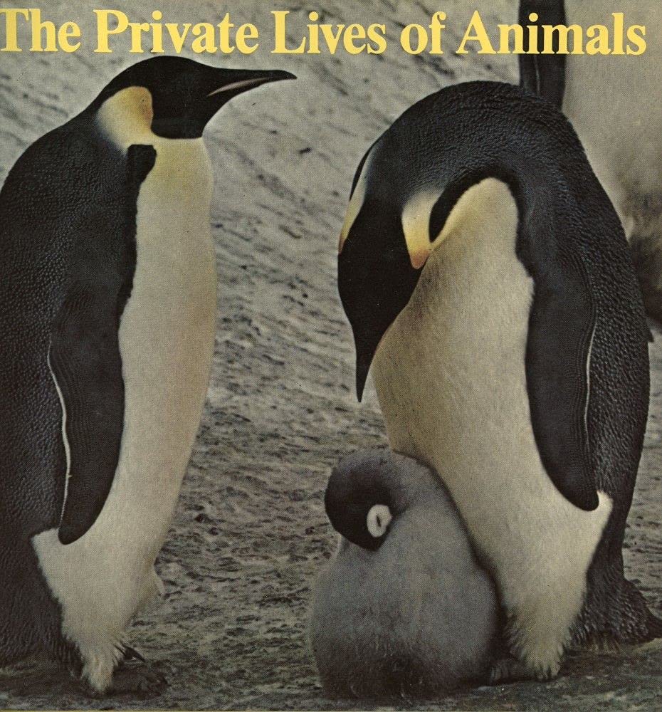 THE PRIVATE LIVES OF ANIMALS. Natural Sciences