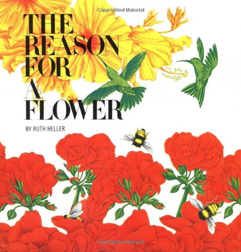 Product Image: The Reason for a Flower