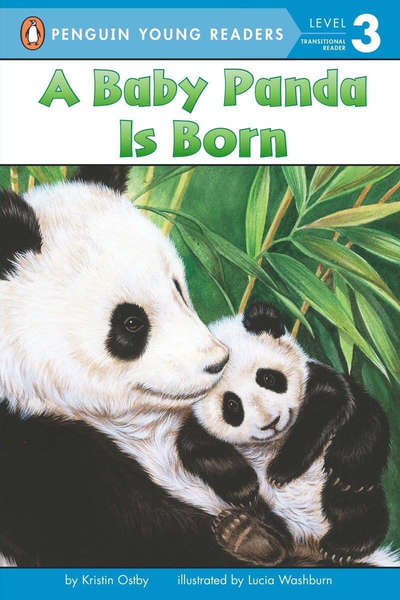 A Baby Panda Is Born Business & Technology