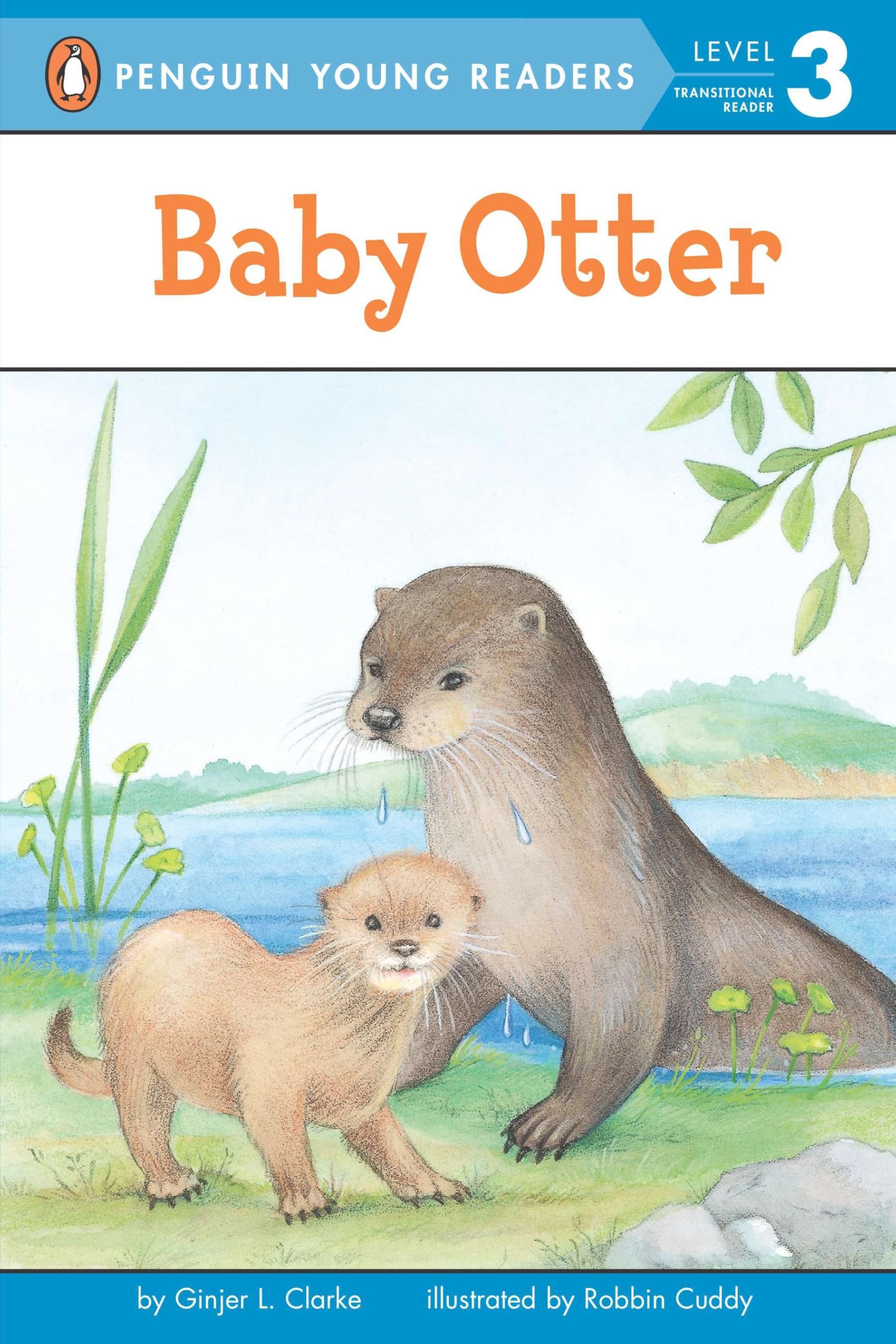 Product Image: Baby Otter