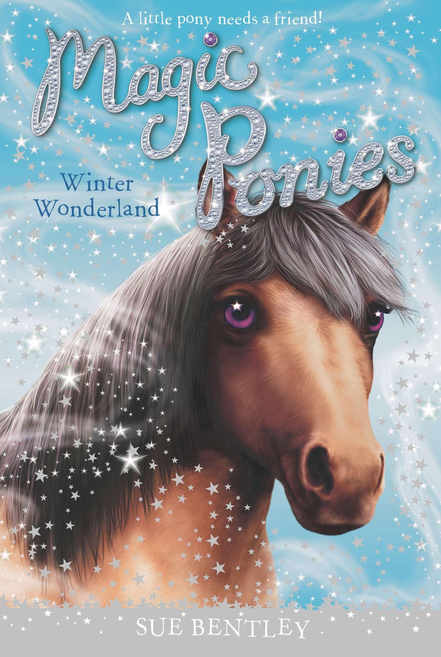 Winter Wonderland (Magic Ponies, 5, Band 5) Novels & Short Stories
