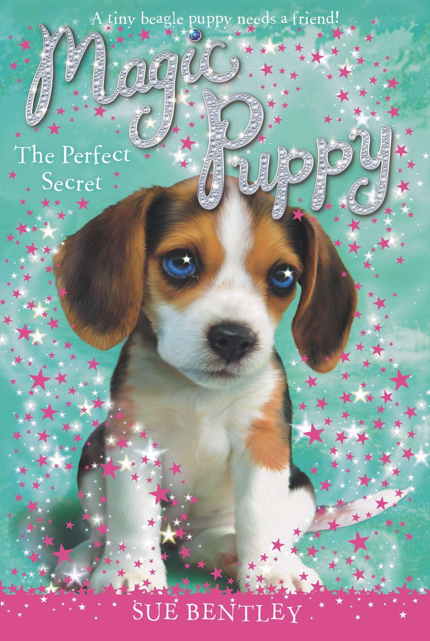 The Perfect Secret (Magic Puppy, 14, Band 14) Non-fiction