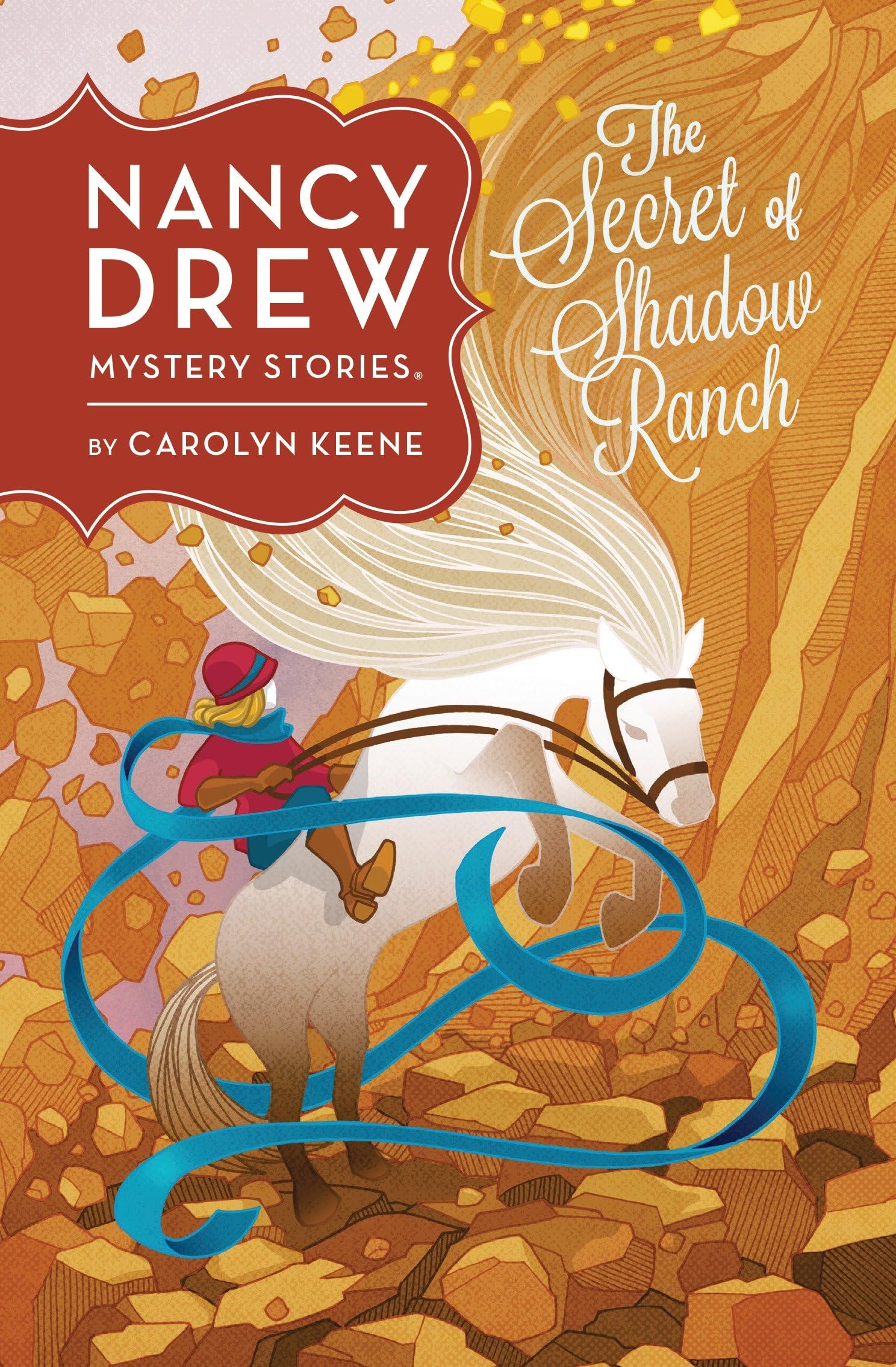 The Secret of Shadow Ranch #5 book