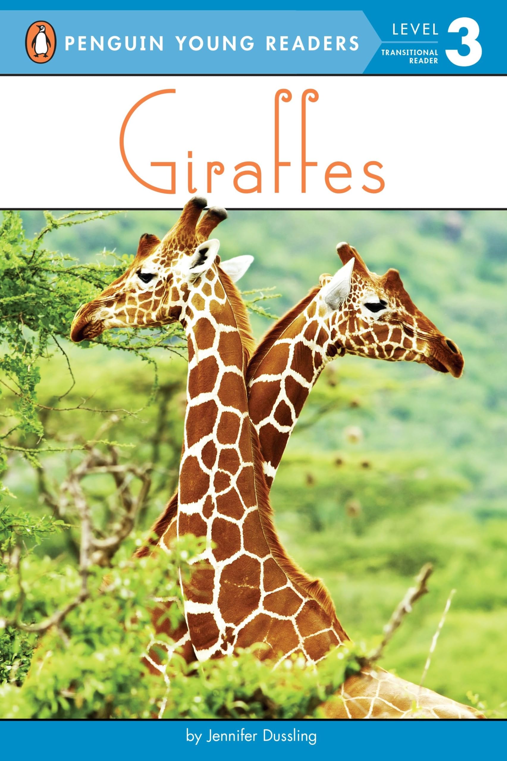 Giraffes Business & Technology