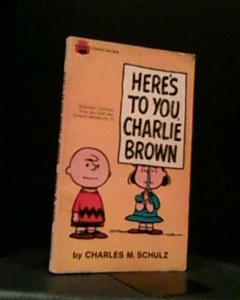 Here's to You, Charlie Brown Books