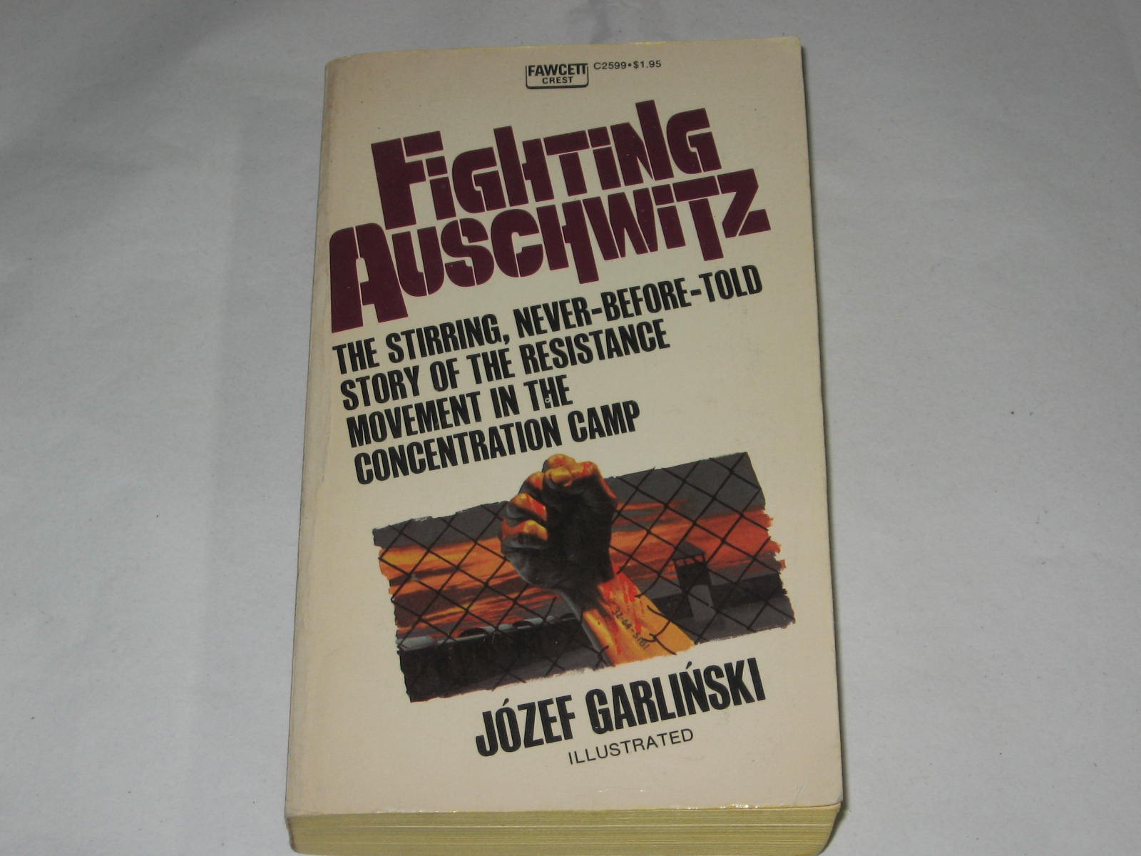 Product Image: FIGHTING AUSCHWITZ