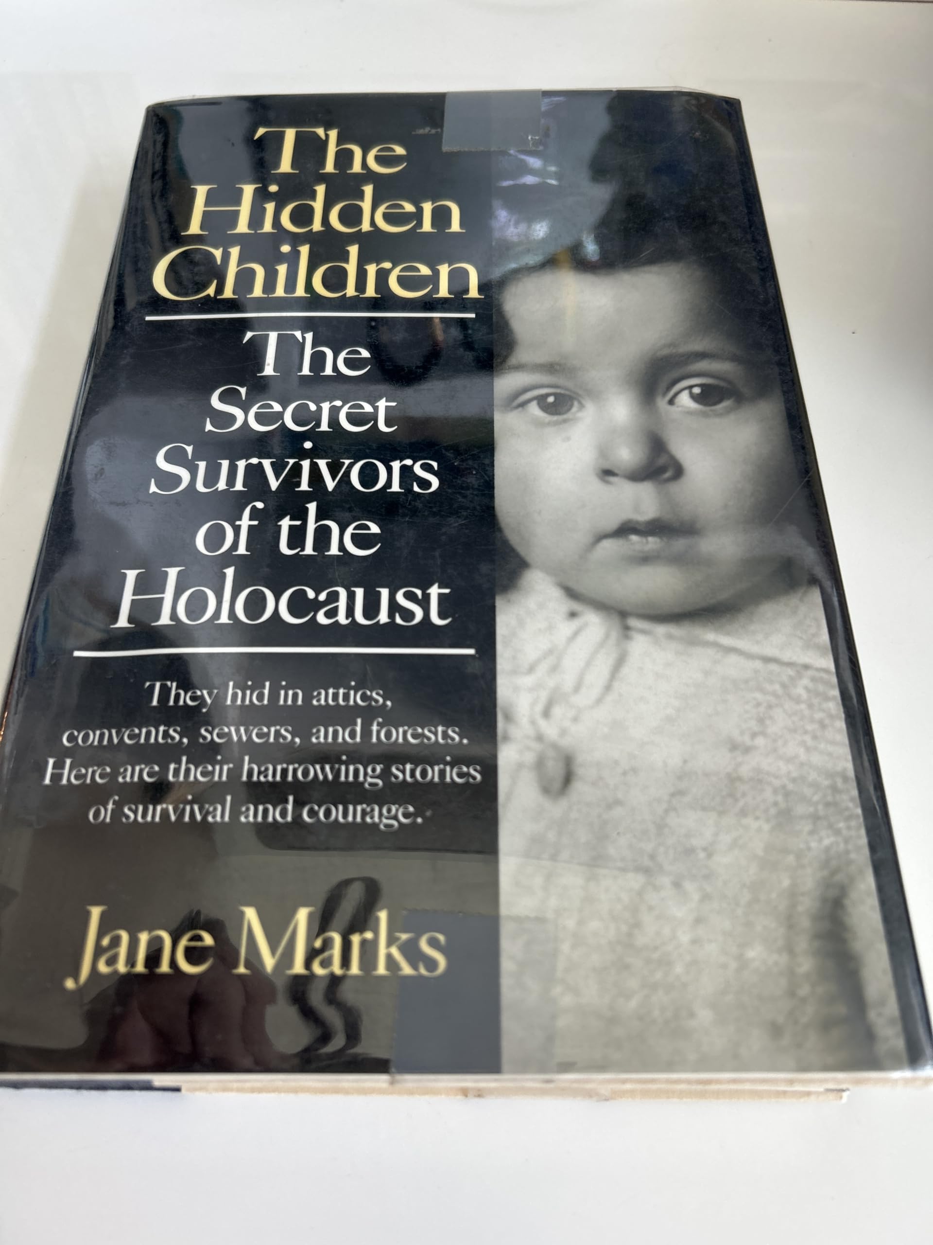 The Hidden Children: The Secret Survivors of the Holocaust Memories
