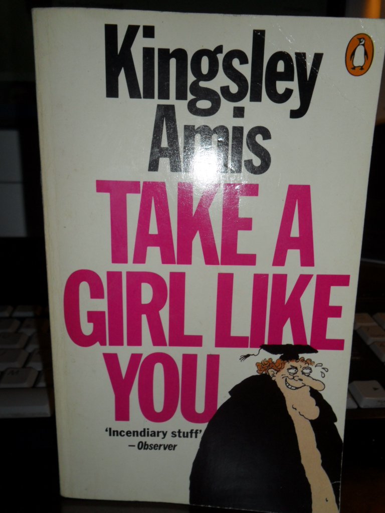 Take a Girl Like You Contemporary literature