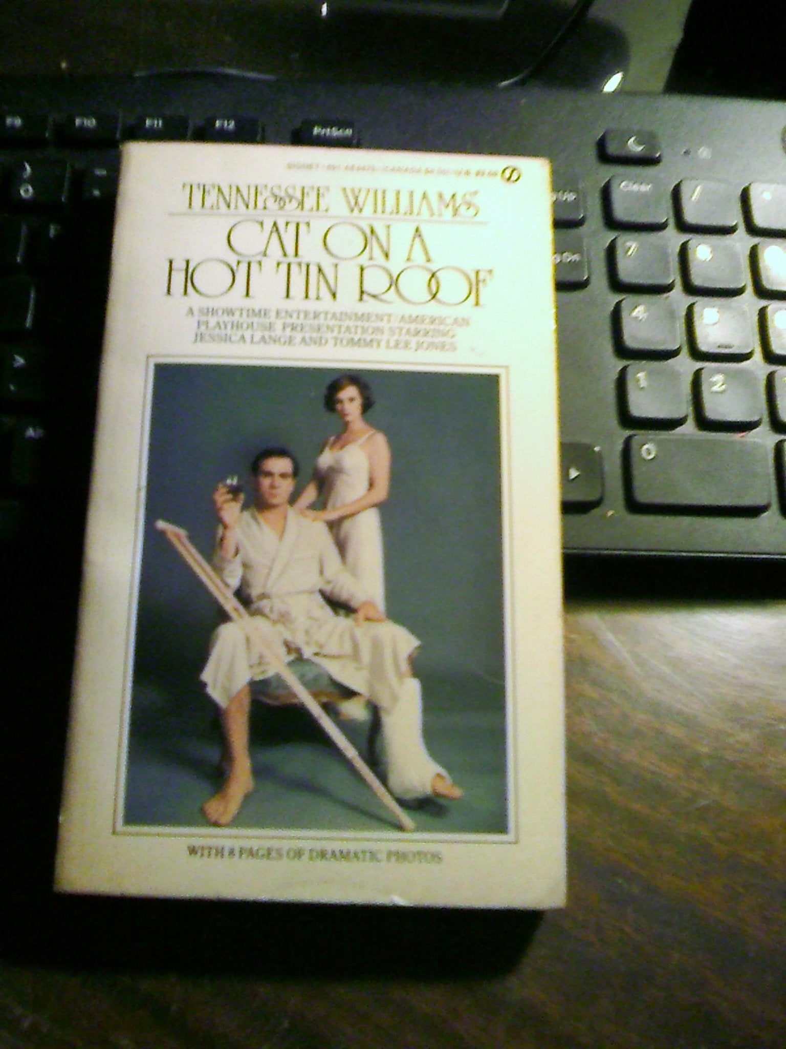 Cat on a Hot Tin Roof book