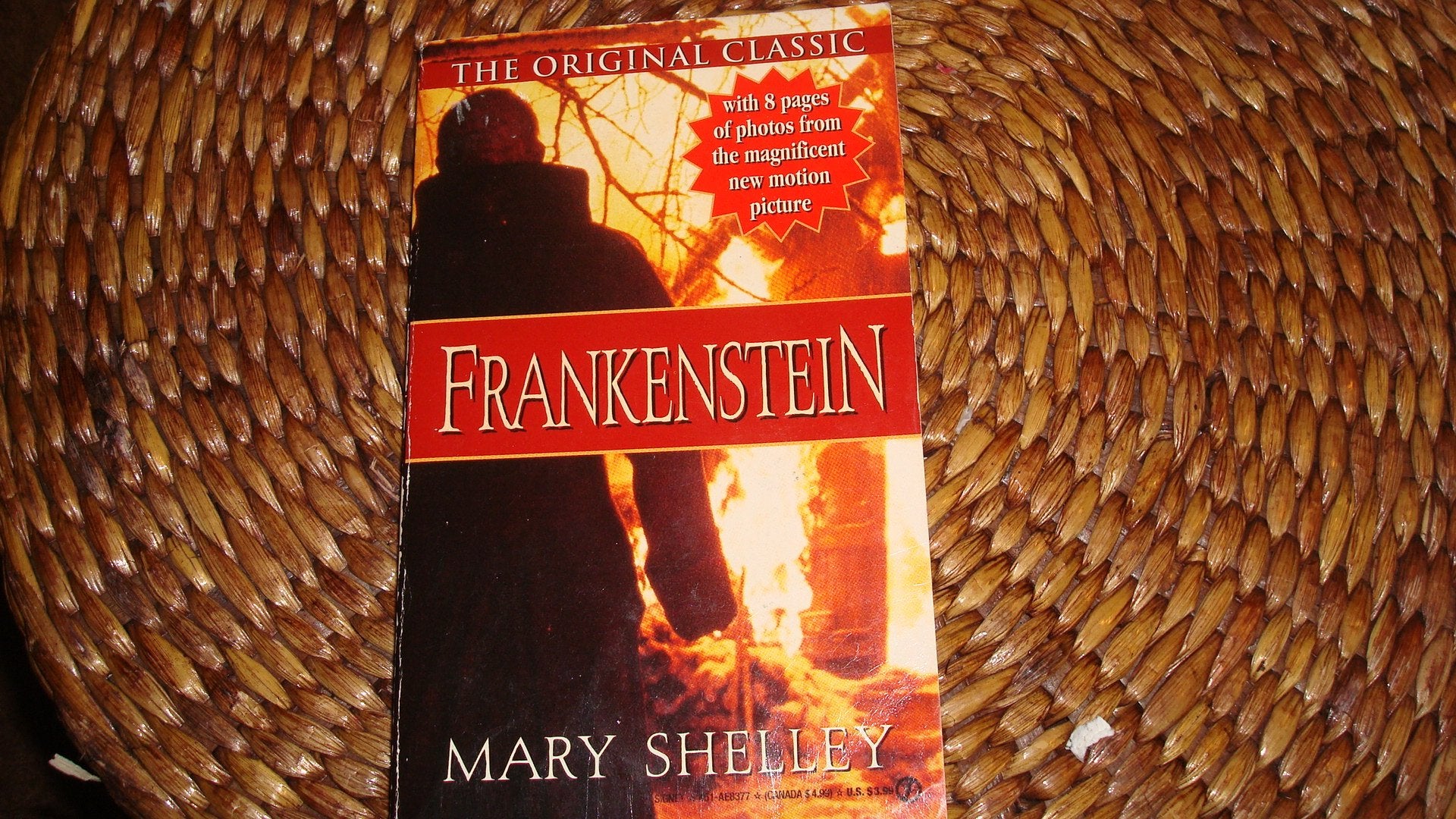 Frankenstein: With an afterword by Harold Bloom. Horror & Mystery