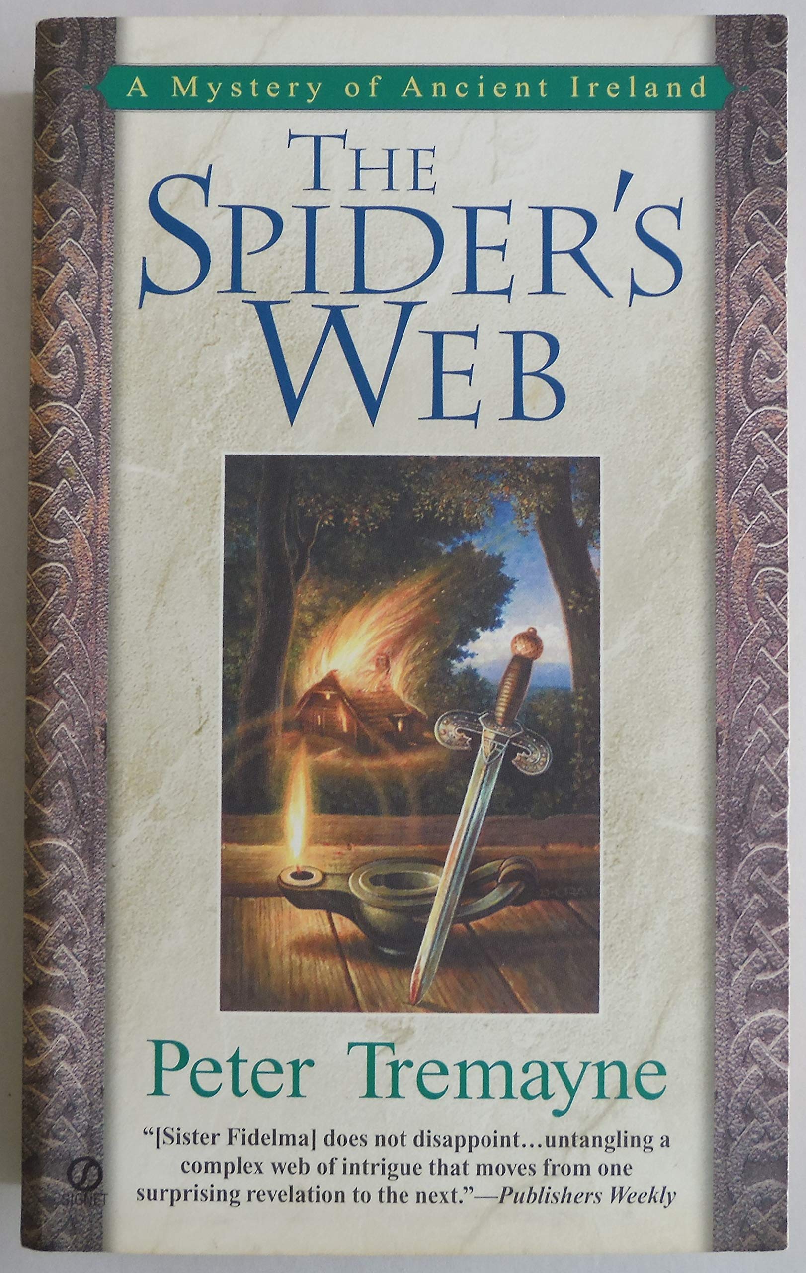 The Spider's Web: A Mystery of Ancient Ireland Detective & CSI