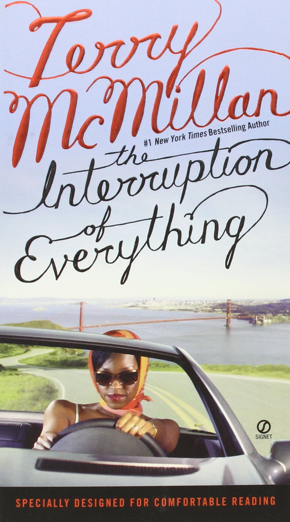 The Interruption of Everything Contemporary literature Books