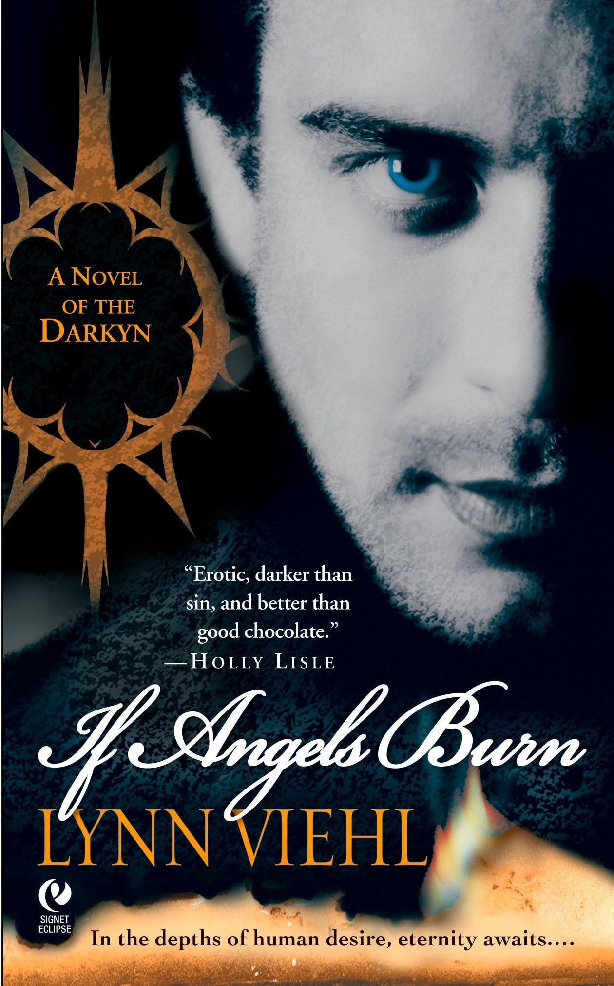 If Angels Burn Contemporary literature Books