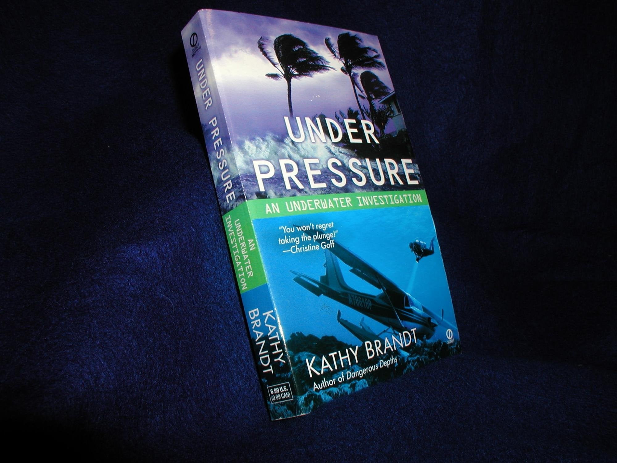 Under Pressure: An Underwater Investigation Detective & CSI