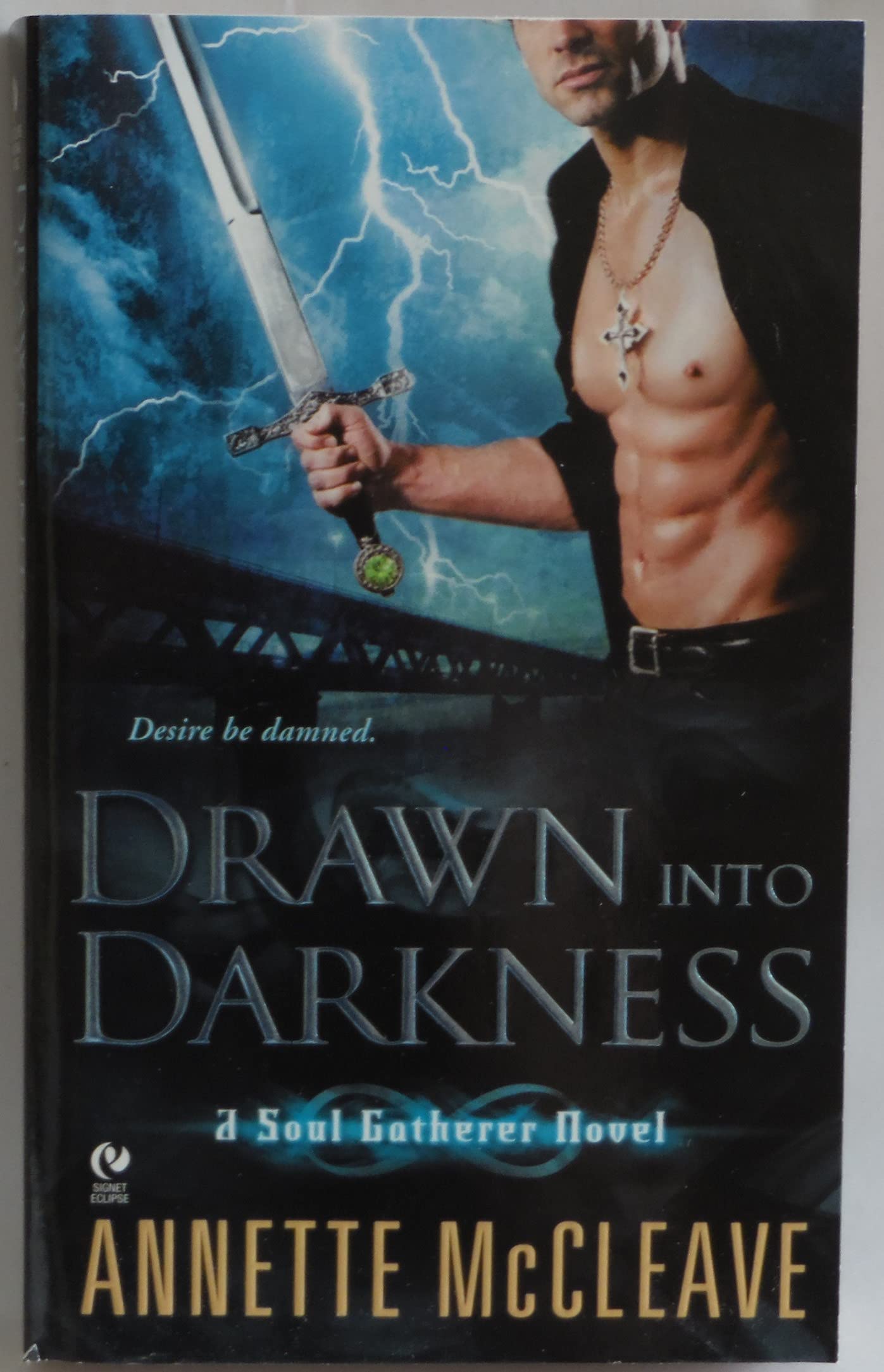 Drawn into Darkness: A Soul Gatherer Novel Contemporary Romance