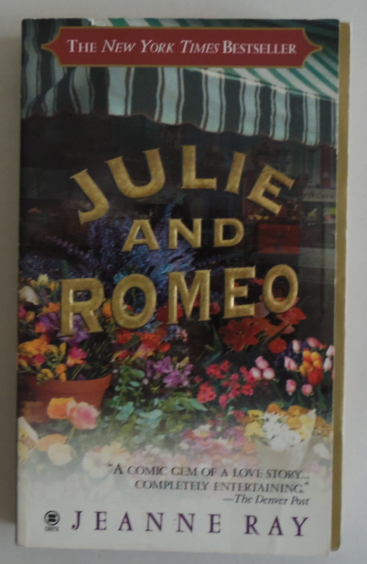 Julie and Romeo: A Novel Humour & Satire